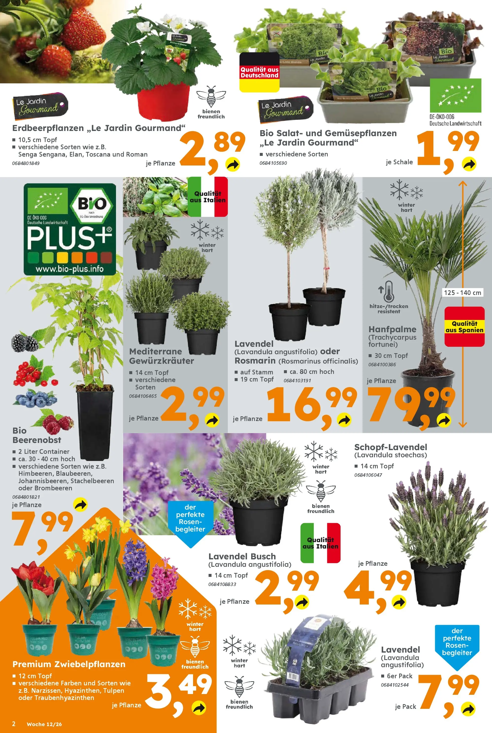 Globus Baumarkt Prospekt Ilmenau	 (ab 16.03.2026) zum Blättern | Seite: 2 | Produkte: Lavendel, Salat
