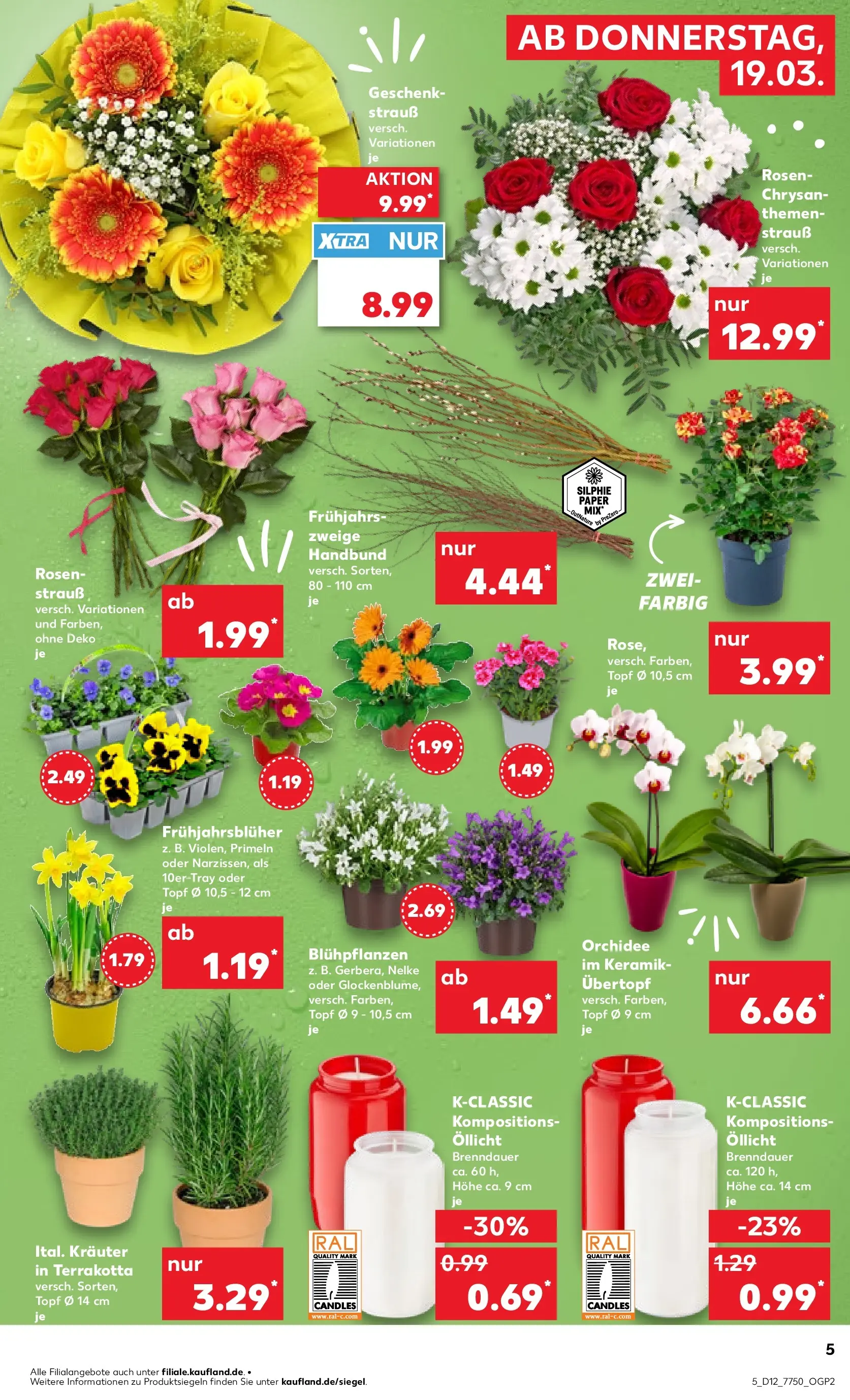 Prospekt Kaufland ab 16.03.2026 » Angebote und Werbung Online | Seite: 21 | Produkte: Orchidee Prospekt Kaufland ab 16.03.2026 » Angebote Online zum Blättern | Seite: 21 | Produkte: Orchidee