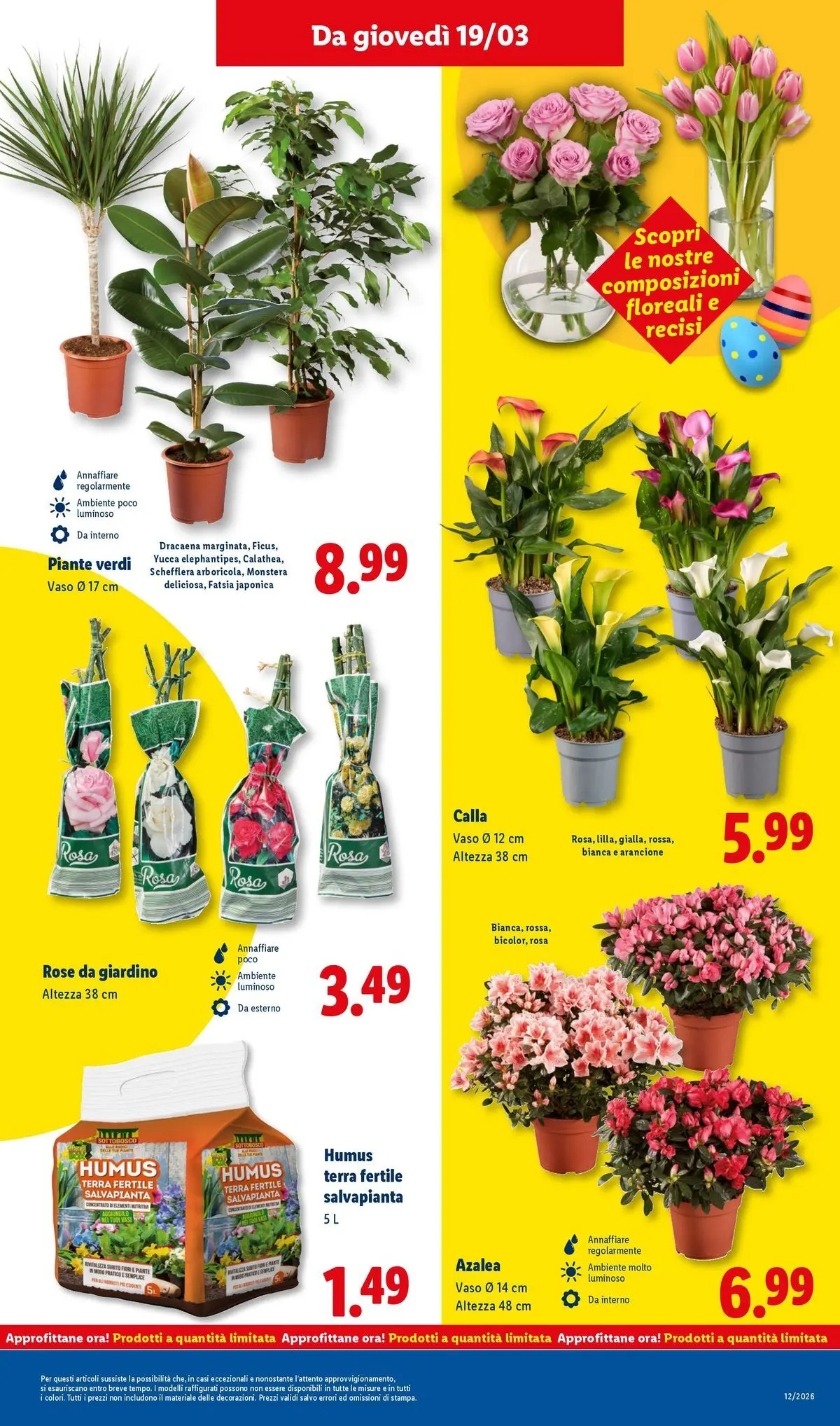 LIDL volantino della prossima settimana dal ﻿15/03/2026﻿ 📣 | Pagina: 45 | Prodotti: Vaso, Terra