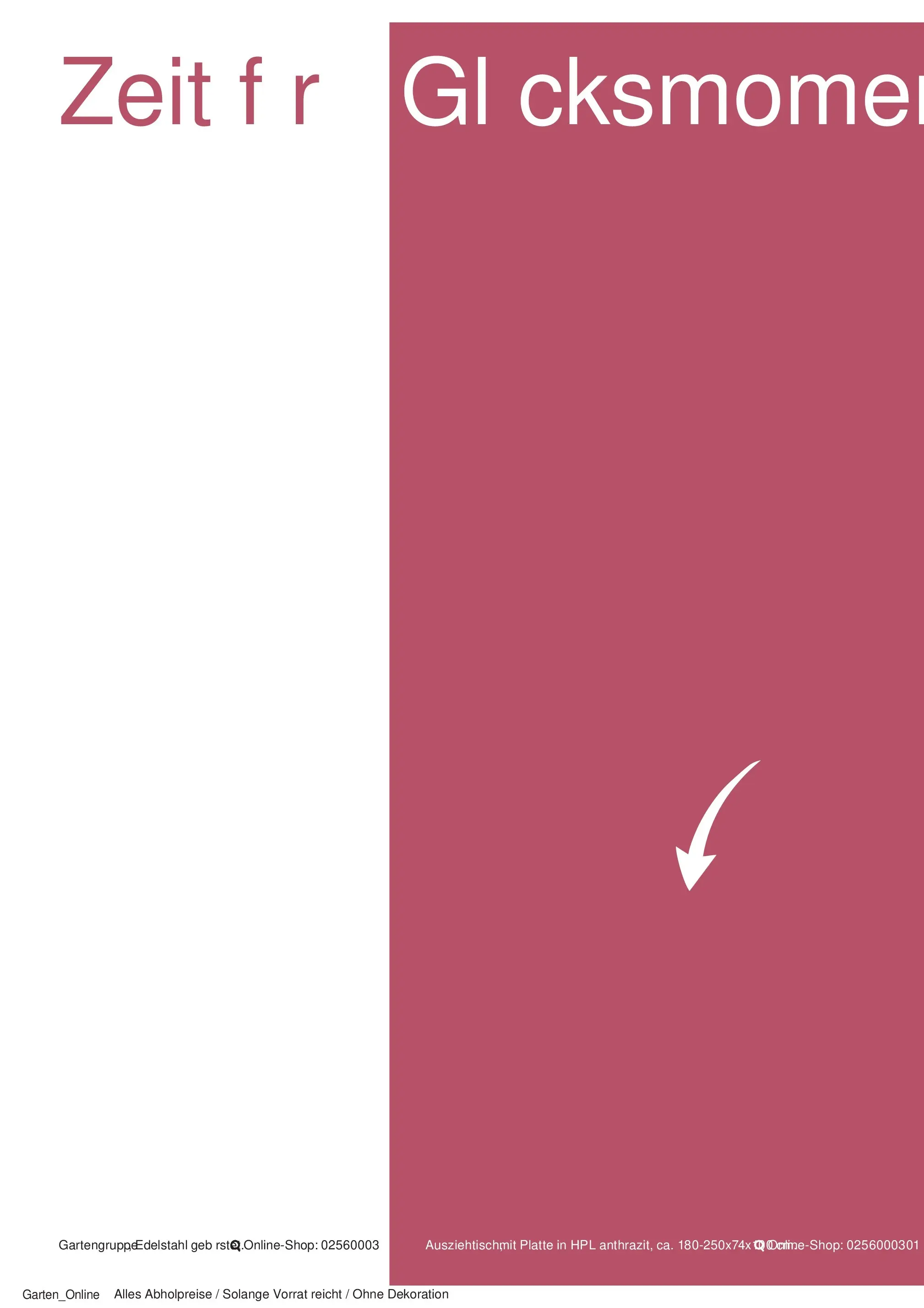 Angebote - Garten 2026 (ab 10.03.2026) zum Blättern | Seite: 13