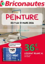 Les Briconautes Peinture - au 31.03.2026