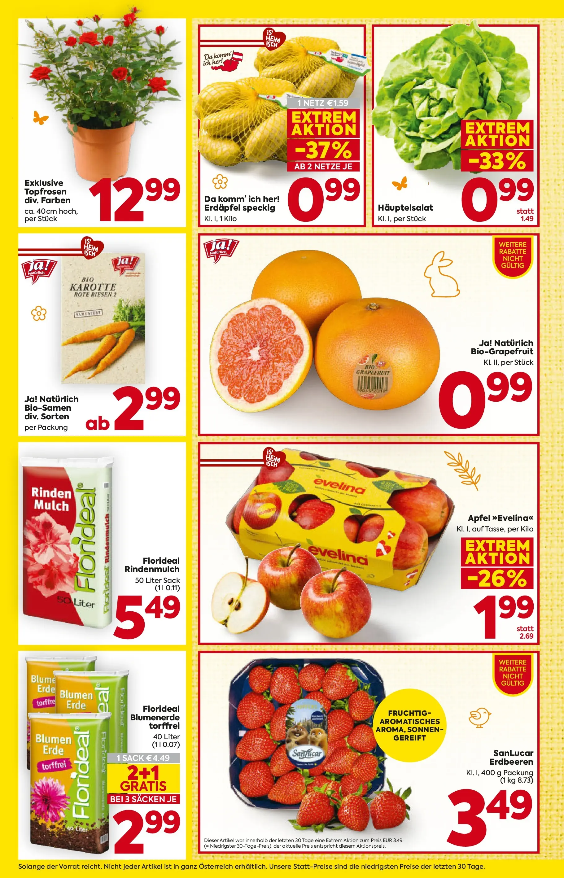 Billa - BILLA: Flugblatt gültig bei BILLA & BILLA PLUS ab 18.03.2026 - Angebote, Prospekt | Seite: 10 | Produkte: Erdbeeren, Karotte, Grapefruit, Äpfel