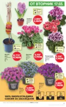 Kaufland хипермаркет MEGA изгодни цени в Kaufland с валидност до 22.03.2026 - до 22-03-26