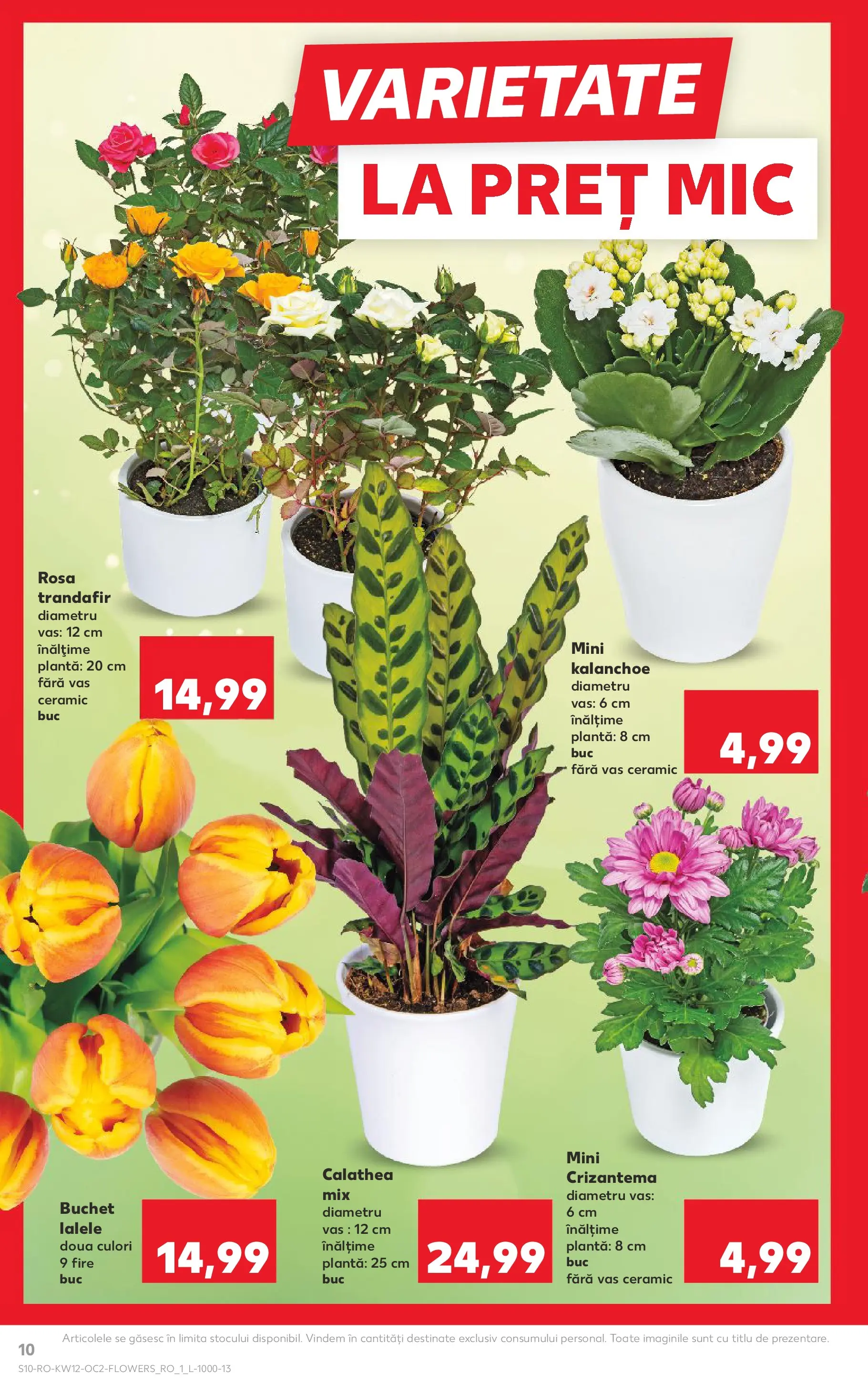 Kaufland Galați 18.03.2026 - Revista si Oferta | Pagină: 10