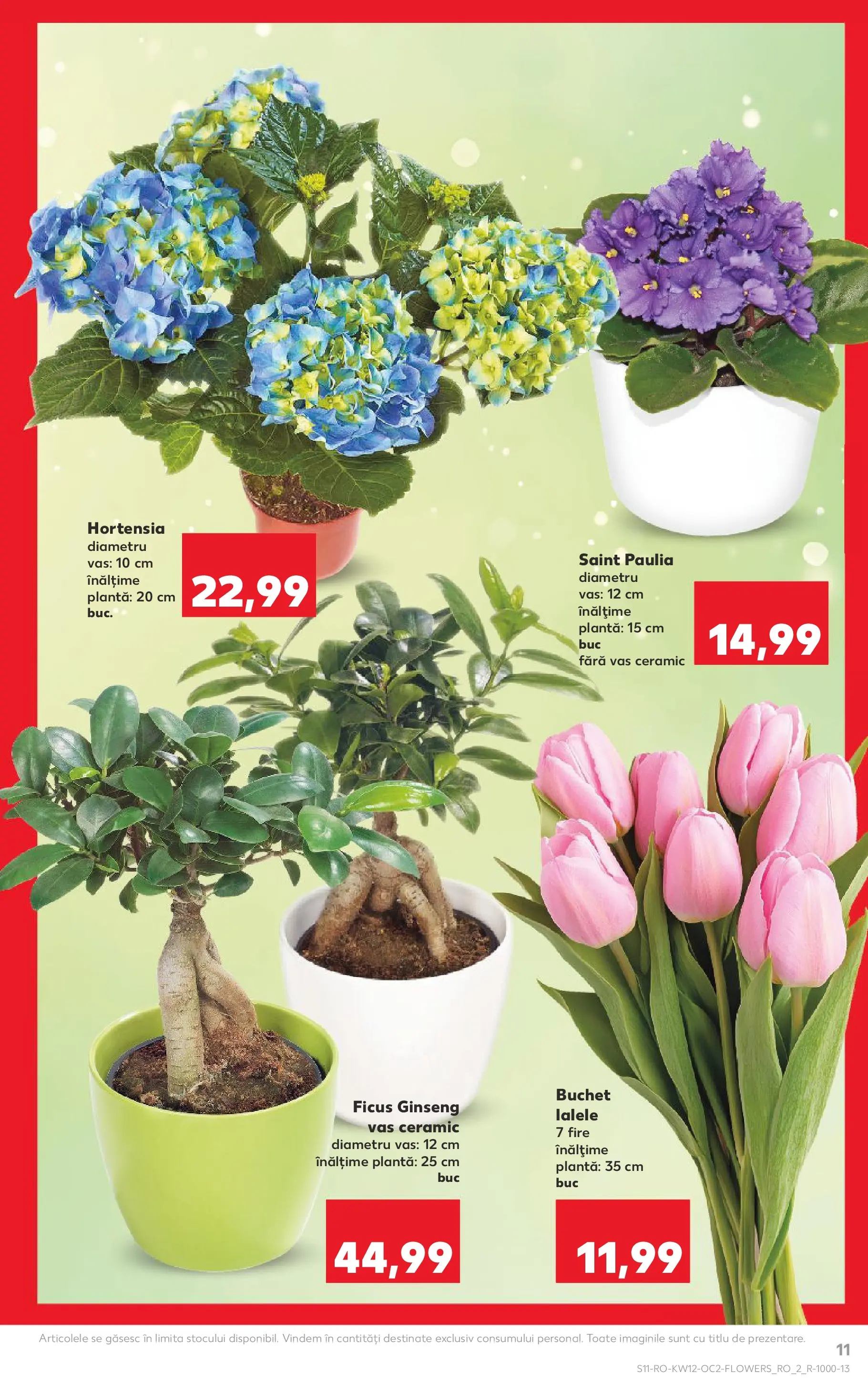 Kaufland Galați 18.03.2026 - Revista si Oferta | Pagină: 11