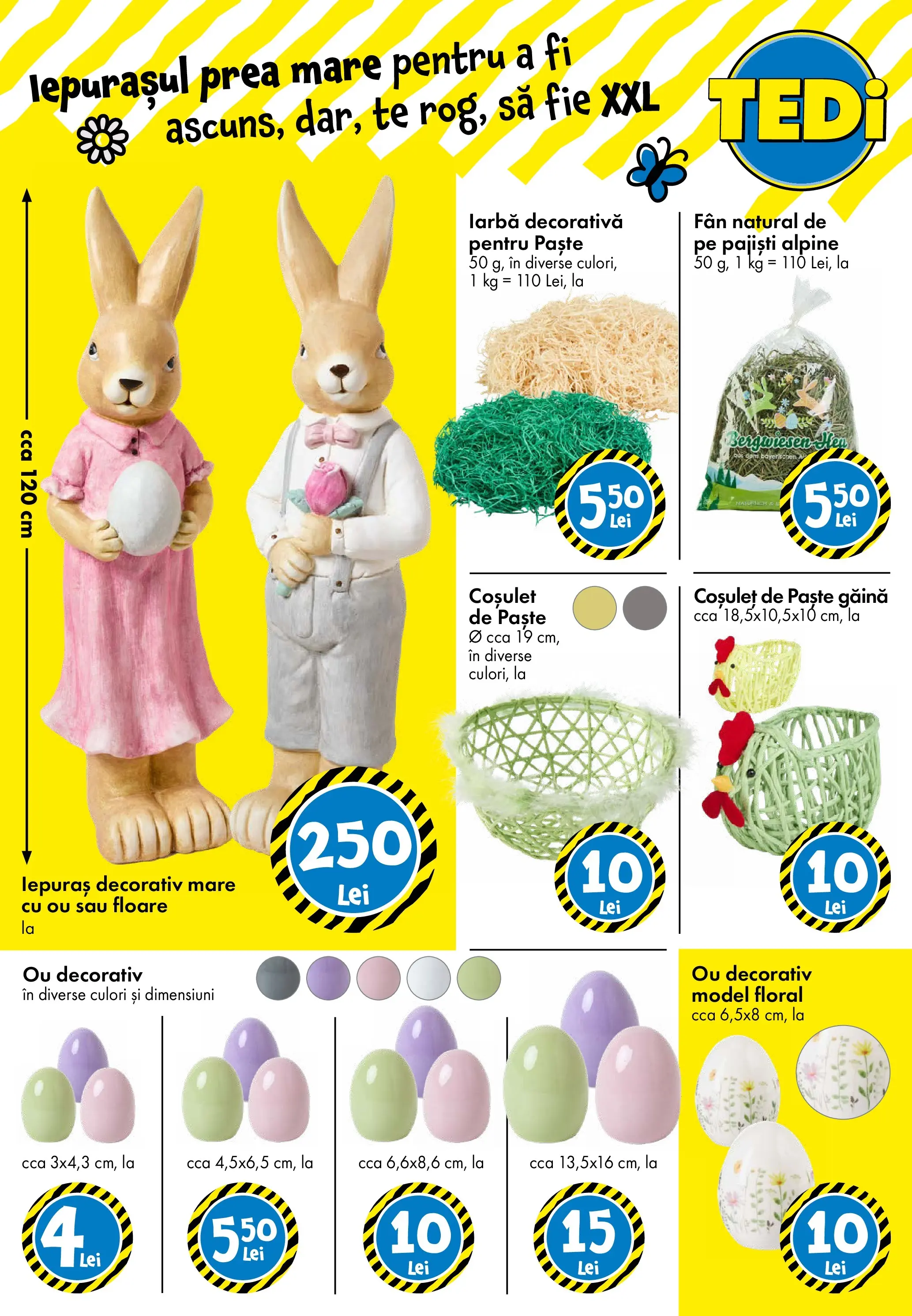 TEDi - Catalog TEDi până în data de 21.03.2026 - Oferta 12.03.2026 - 21.03.2026 | Pagină: 3 | Produse: Paste