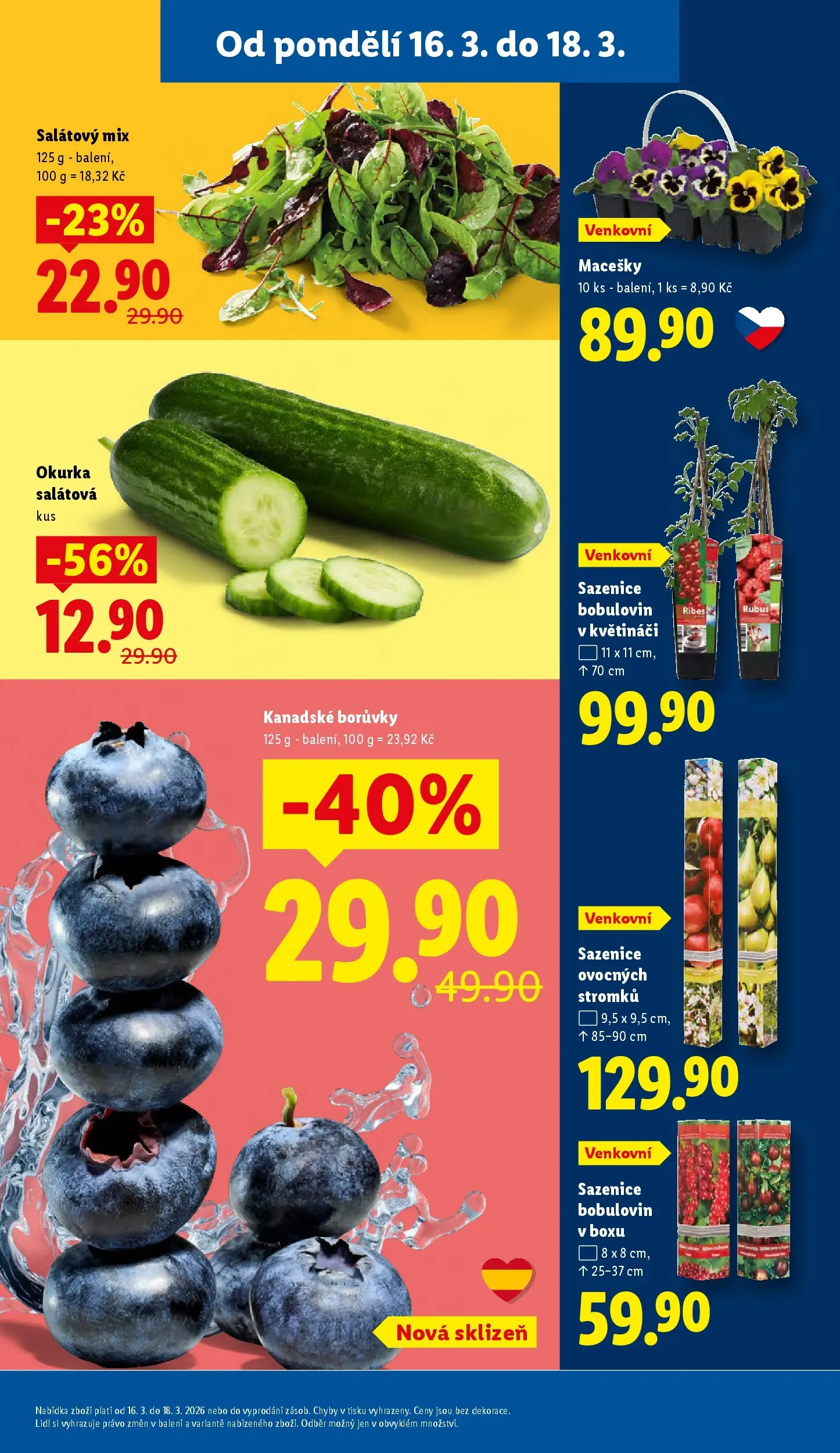 Lidl leták od 15.03.2026 - Nový akční leták | Strana: 13 | Produkty: Box, Borůvky, Okurka