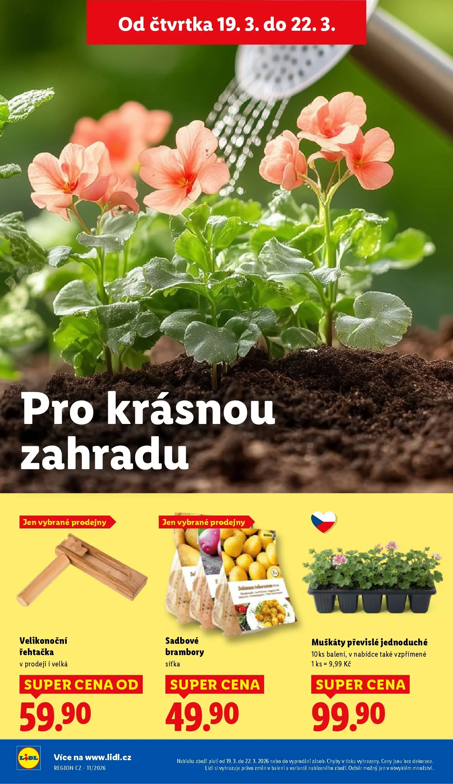 Lidl leták od 18.03.2026 - Nový akční leták | Strana: 36 | Produkty: Muškáty, Brambory, Řehtačka