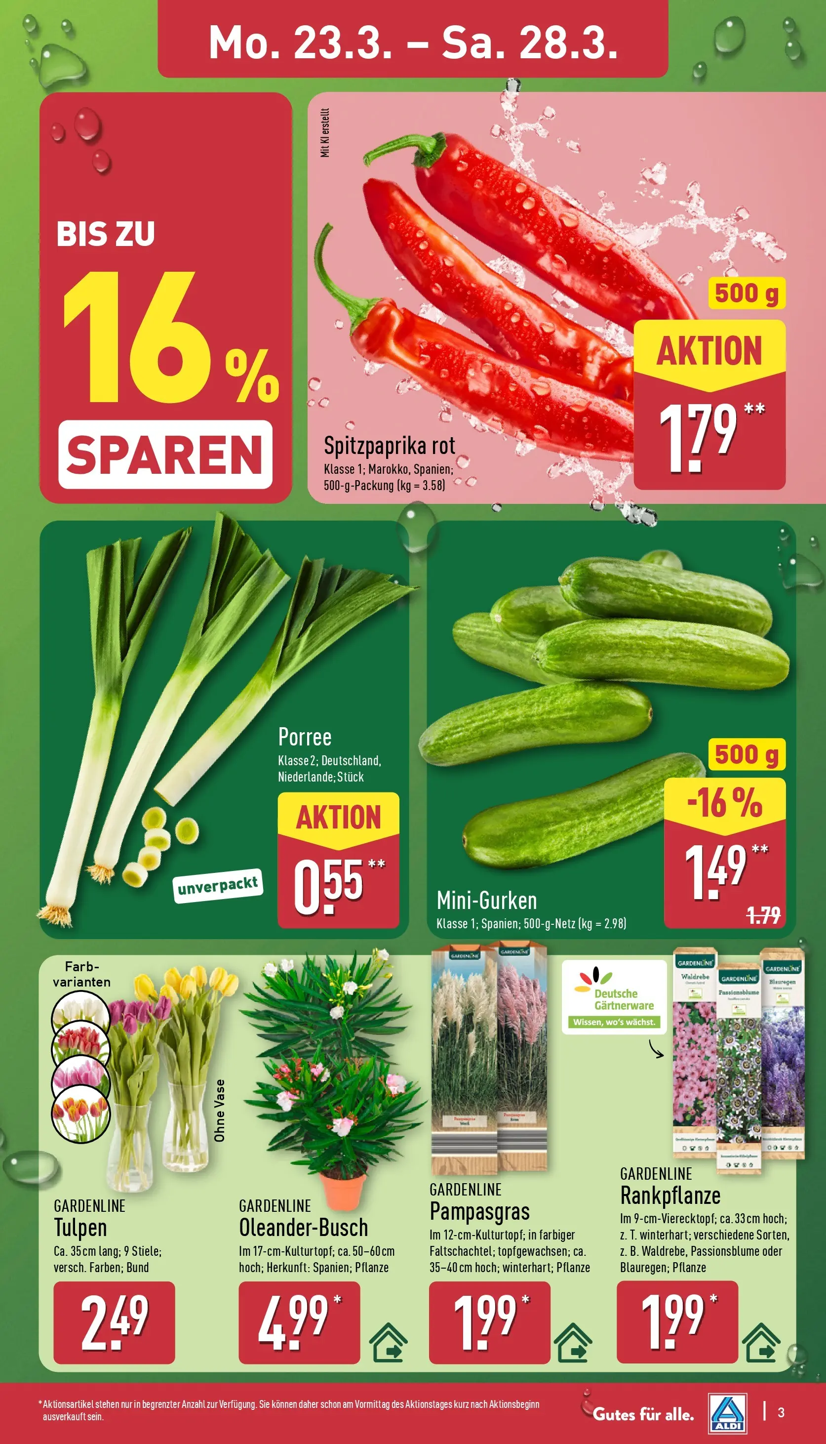 Aldi Wochenangebote (ab 23.03.2026) » Angebote Online | Seite: 7 | Produkte: Vase