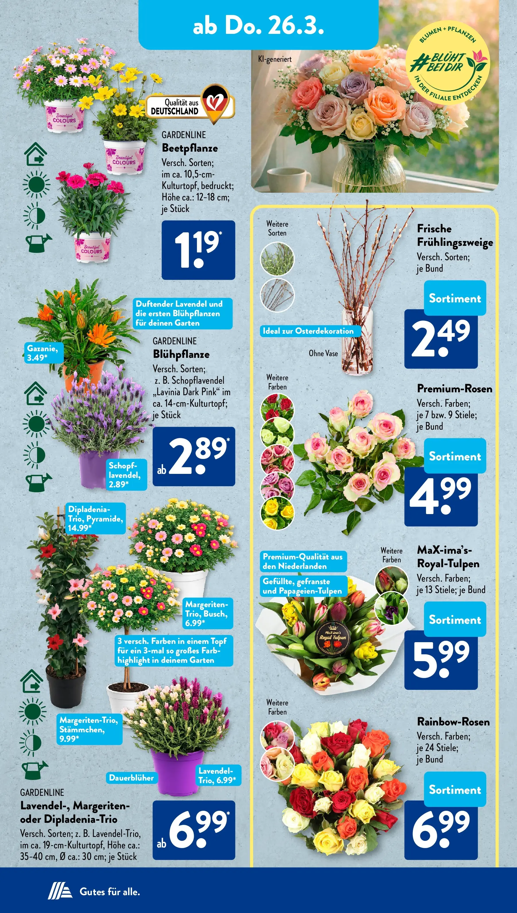 Aldi Süd - Aldi Süd: Wochenangebote (ab 22.03.2026) zum Blättern | Seite: 29 | Produkte: Blumen, Vase, Lavendel