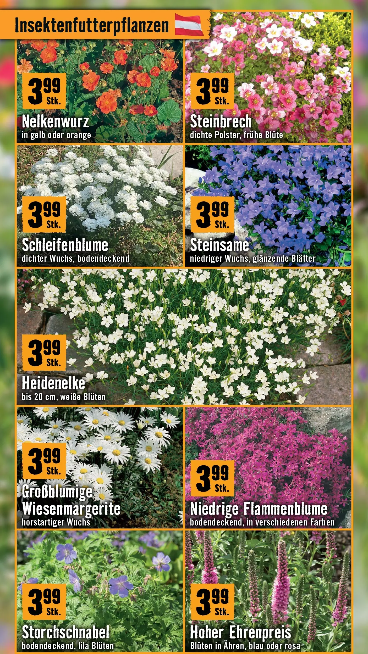 Hornbach Dein Garten, Dein Wille. von 17.03.2026 - Aktuelle Angebote | Seite: 3