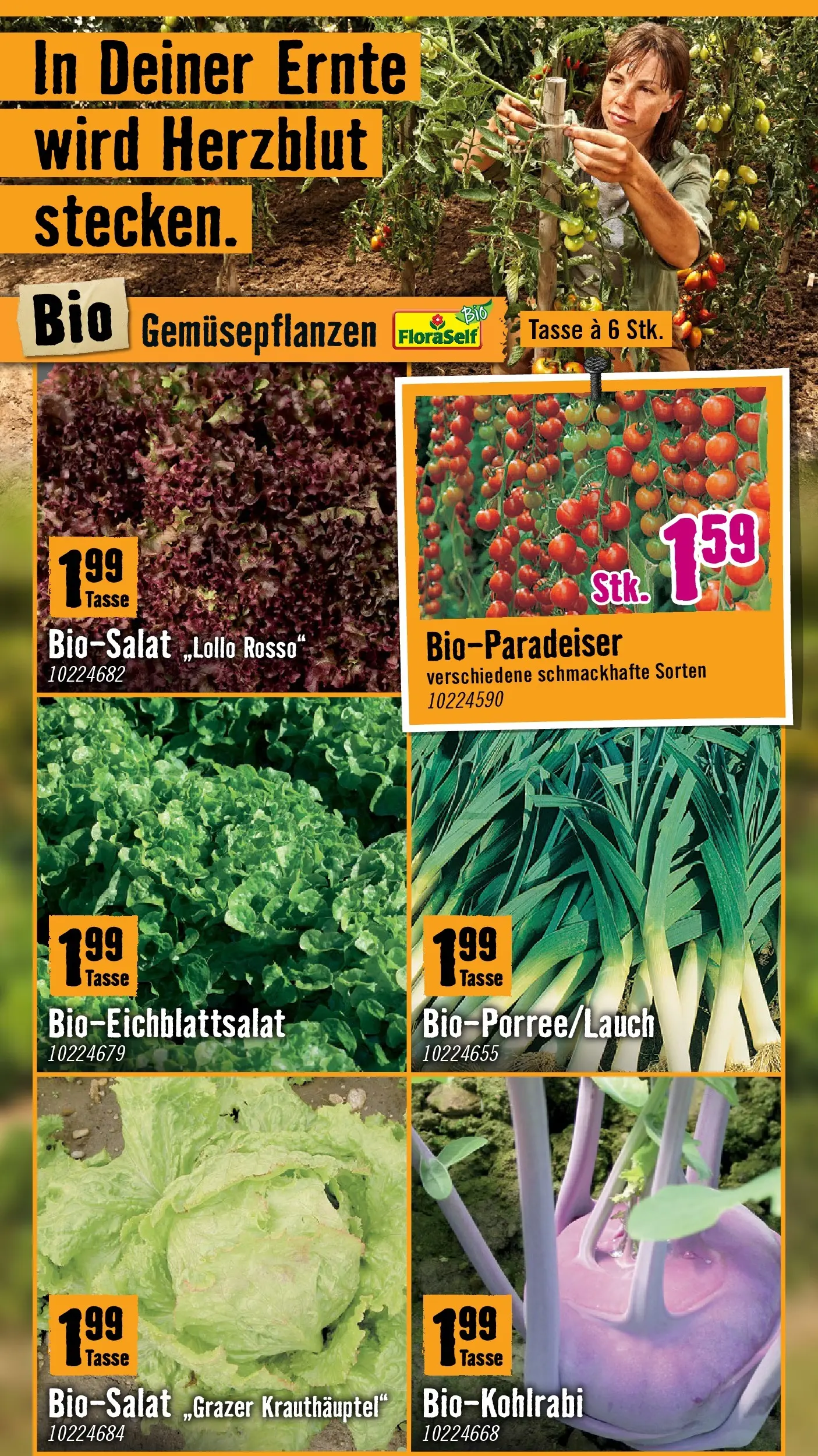 Hornbach Dein Garten, Dein Wille. von 17.03.2026 - Aktuelle Angebote | Seite: 8