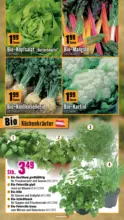 Hornbach Hornbach: Dein Garten, Dein Wille. - bis 15.04.2026