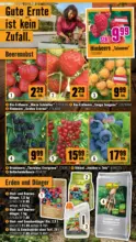 Hornbach Hornbach: Dein Garten, Dein Wille. - bis 15.04.2026
