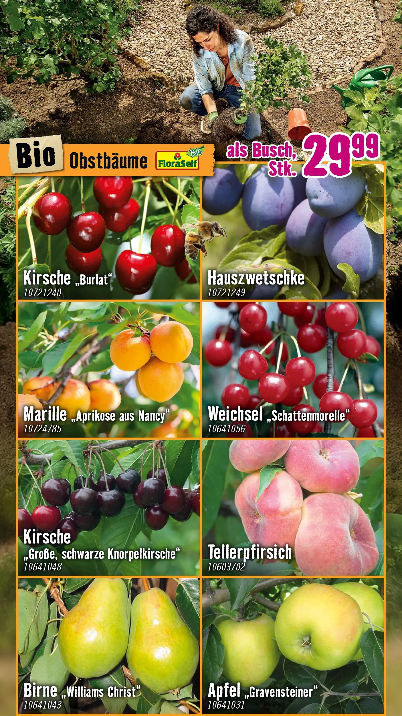 Hornbach Dein Garten, Dein Wille. von 17.03.2026 - Aktuelle Angebote | Seite: 14 | Produkte: Birne, Äpfel