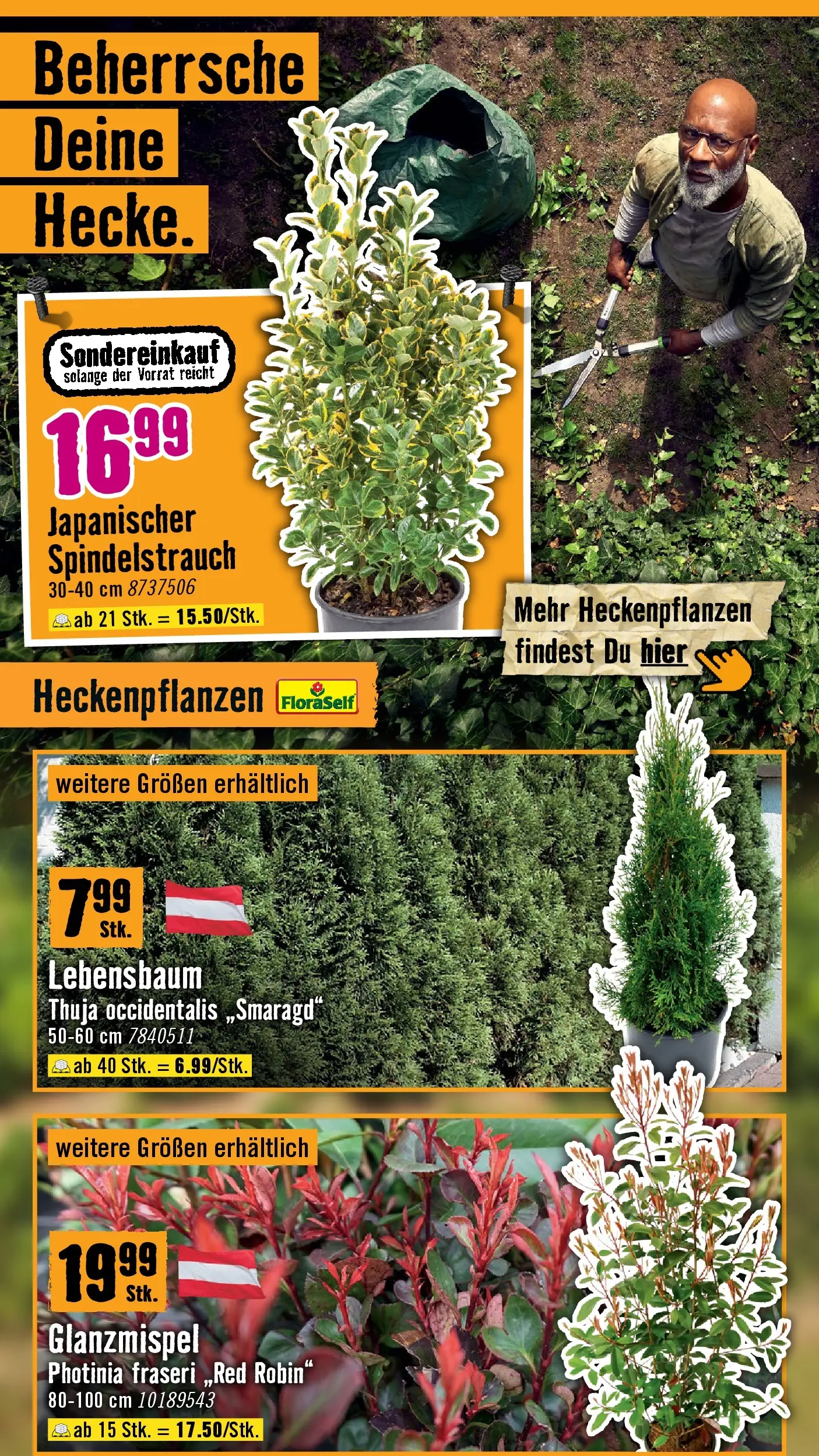 Hornbach Dein Garten, Dein Wille. von 17.03.2026 - Aktuelle Angebote | Seite: 20