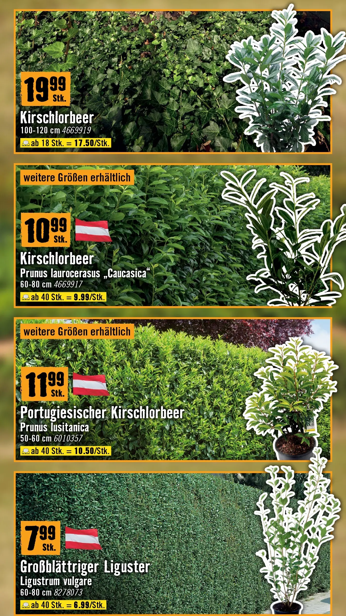 Hornbach Dein Garten, Dein Wille. von 17.03.2026 - Aktuelle Angebote | Seite: 21