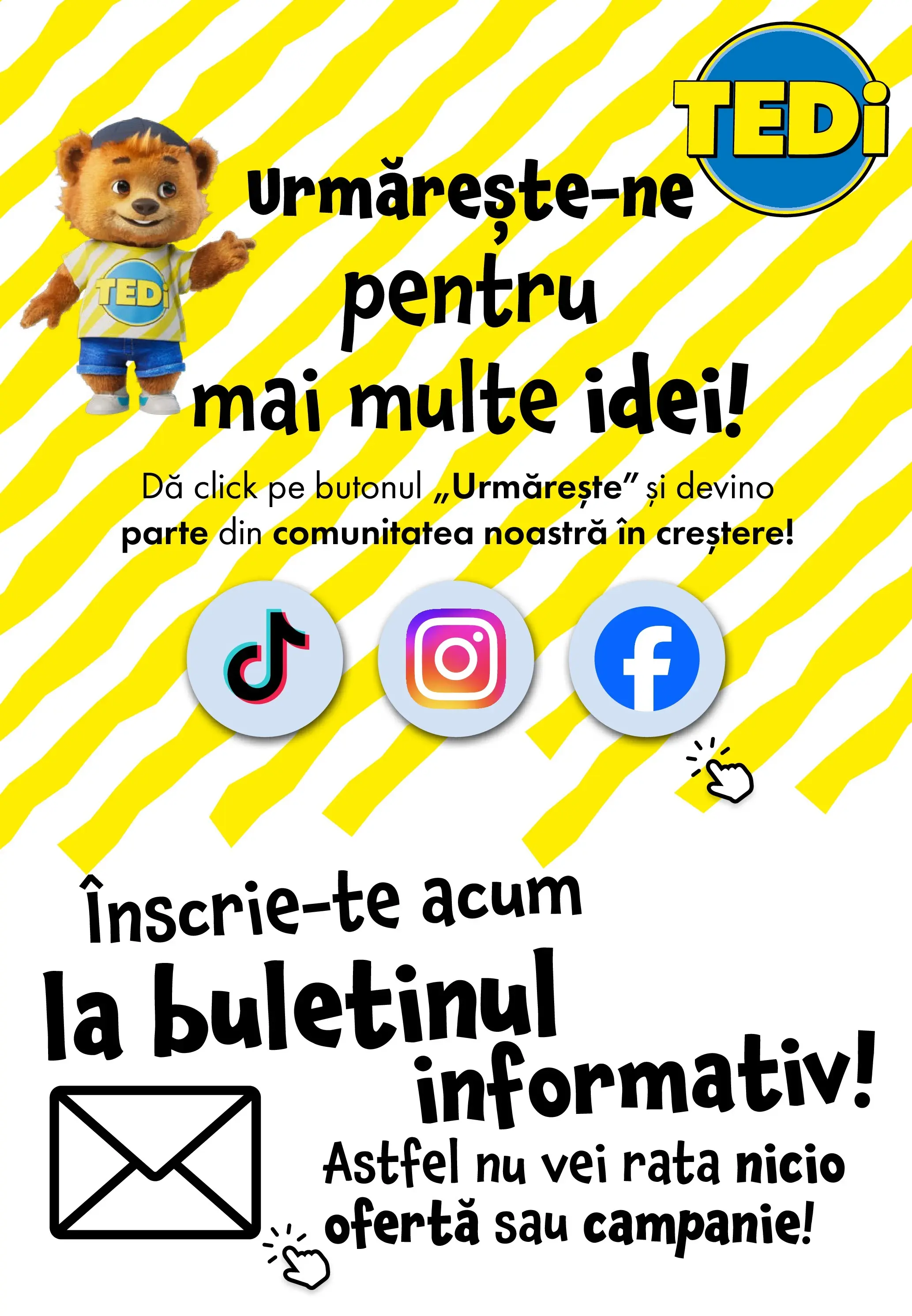 TEDi Catalog Drobeta-Turnu Severin - Oferta 17.03.2026 - 24.03.2026 | Pagină: 11 | Produse: Rață