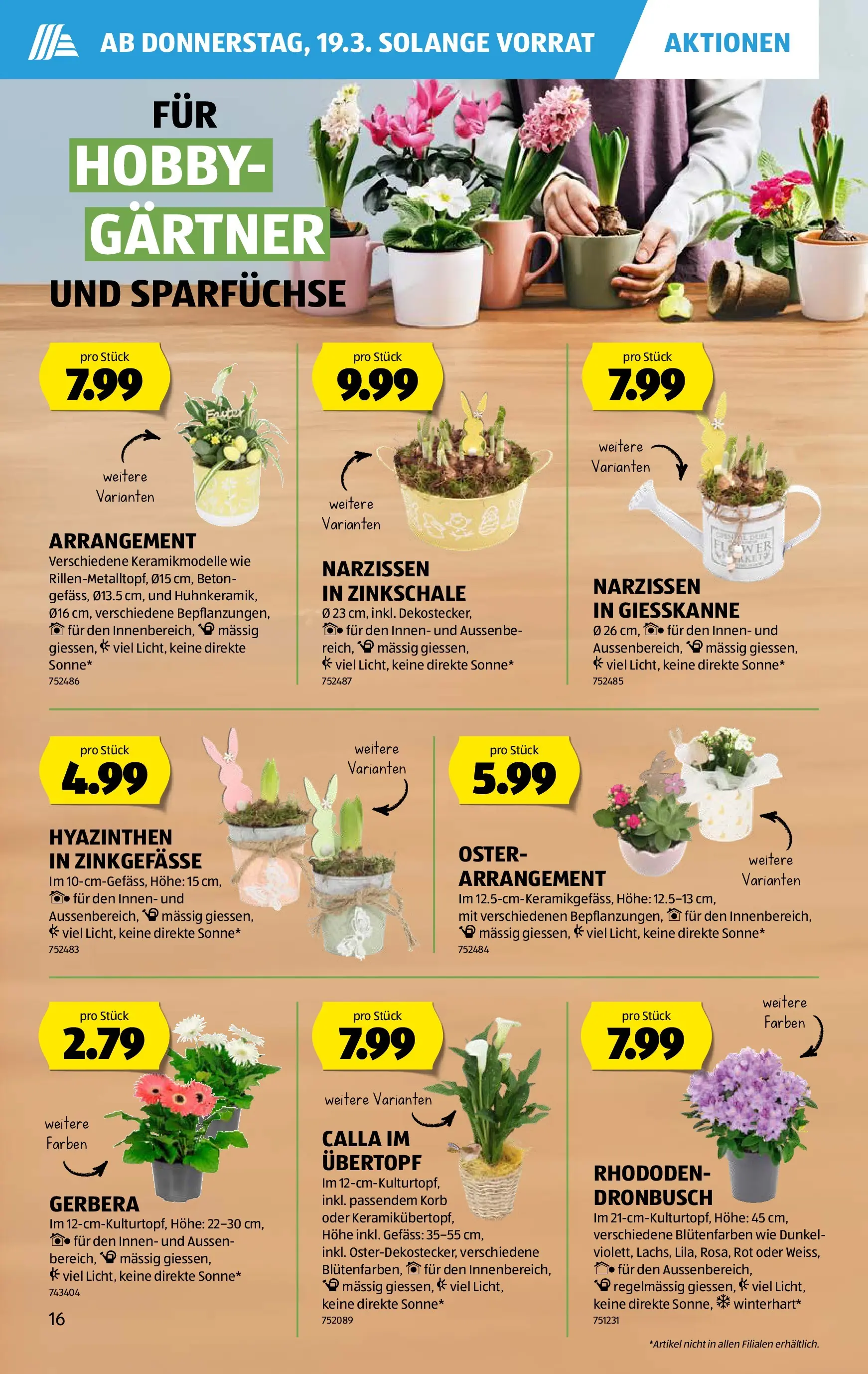 Aldi Aktionen (18.03.2026 - 26.03.2026) - Prospekt | Seite: 16 | Produkte: Korb