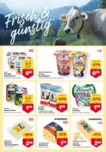 MPREIS MPREIS: Flugblatt Vorarlberg - ab 26.03.2026