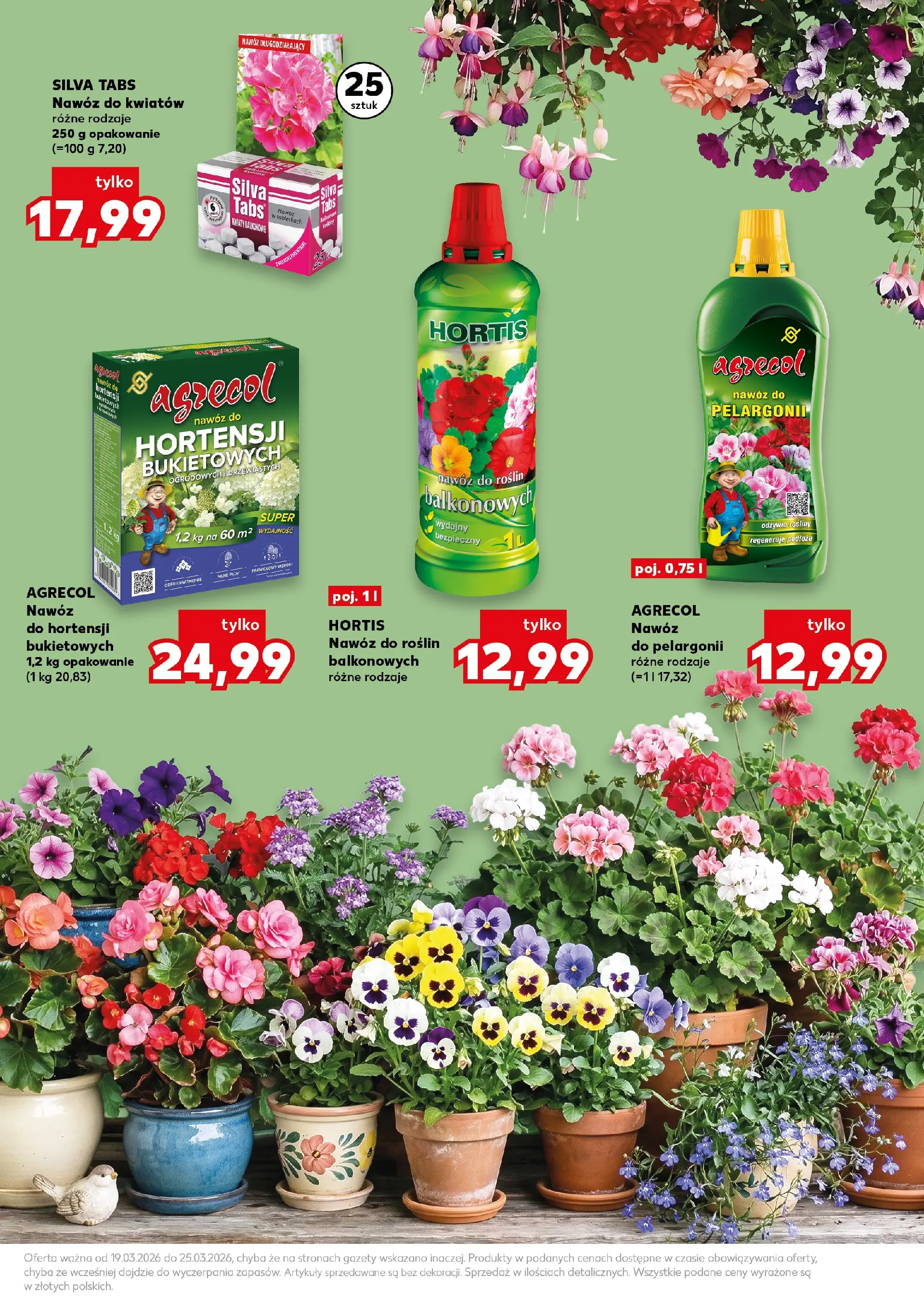 Kaufland gazetka - Ogród od 19.03.2026 - od jutra PDF | Strona: 7 | Produkty: Rosliny