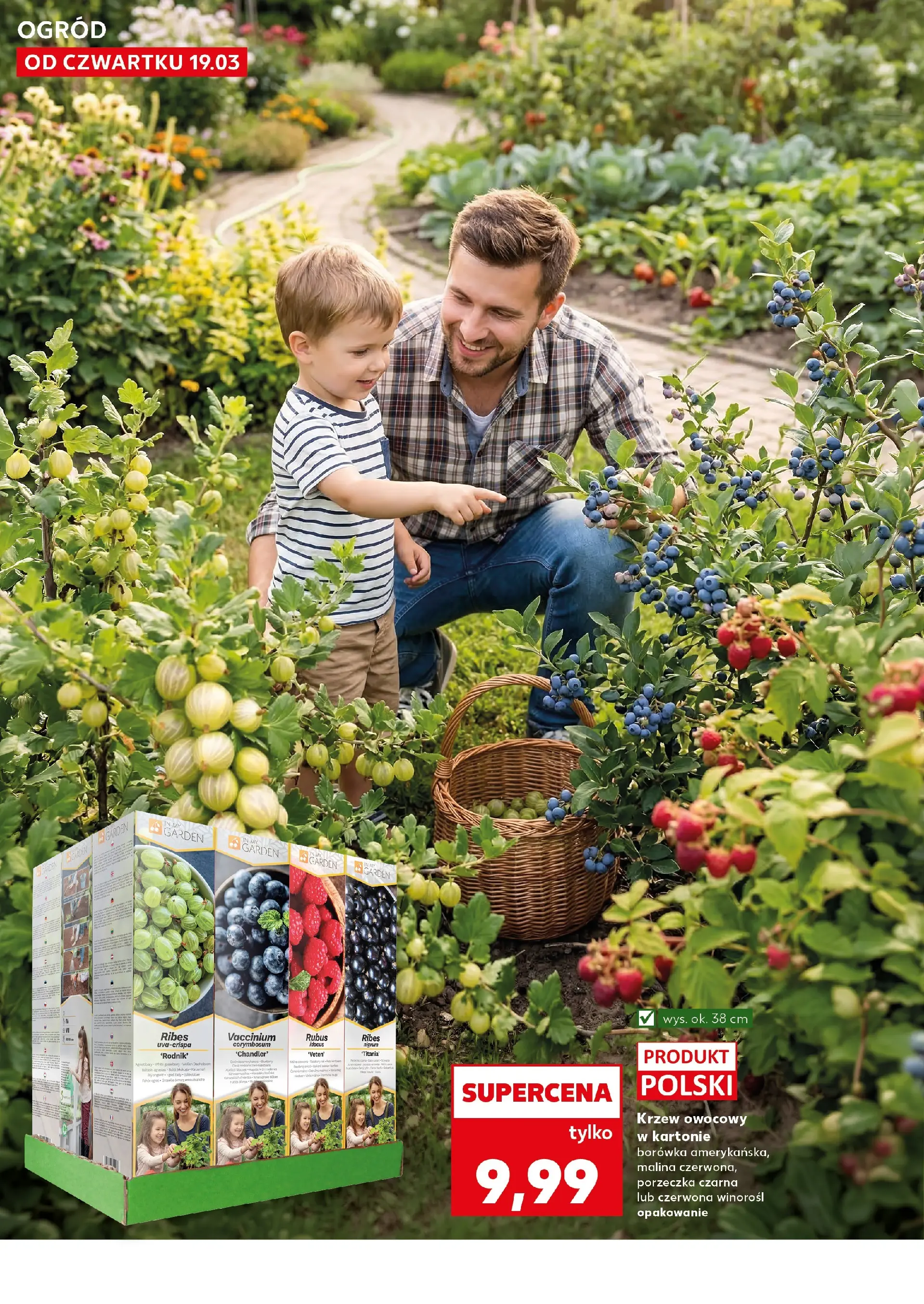 Kaufland gazetka - Ogród od 19.03.2026 - od jutra PDF | Strona: 10 | Produkty: Malina, Porzeczka