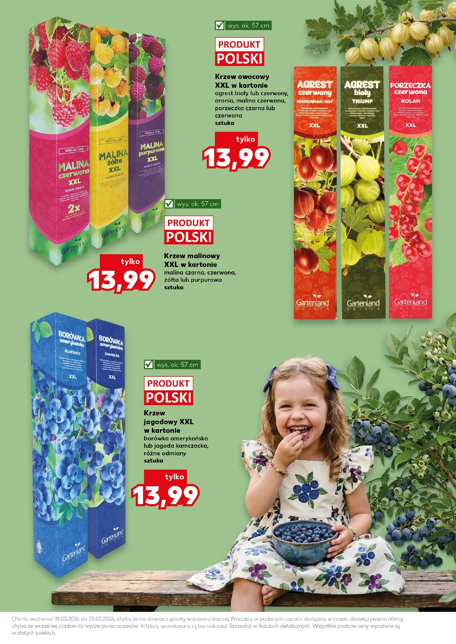 Kaufland gazetka - Ogród od 19.03.2026 - od jutra PDF | Strona: 11 | Produkty: Malina, Borówka amerykańska, Porzeczka, Agrest