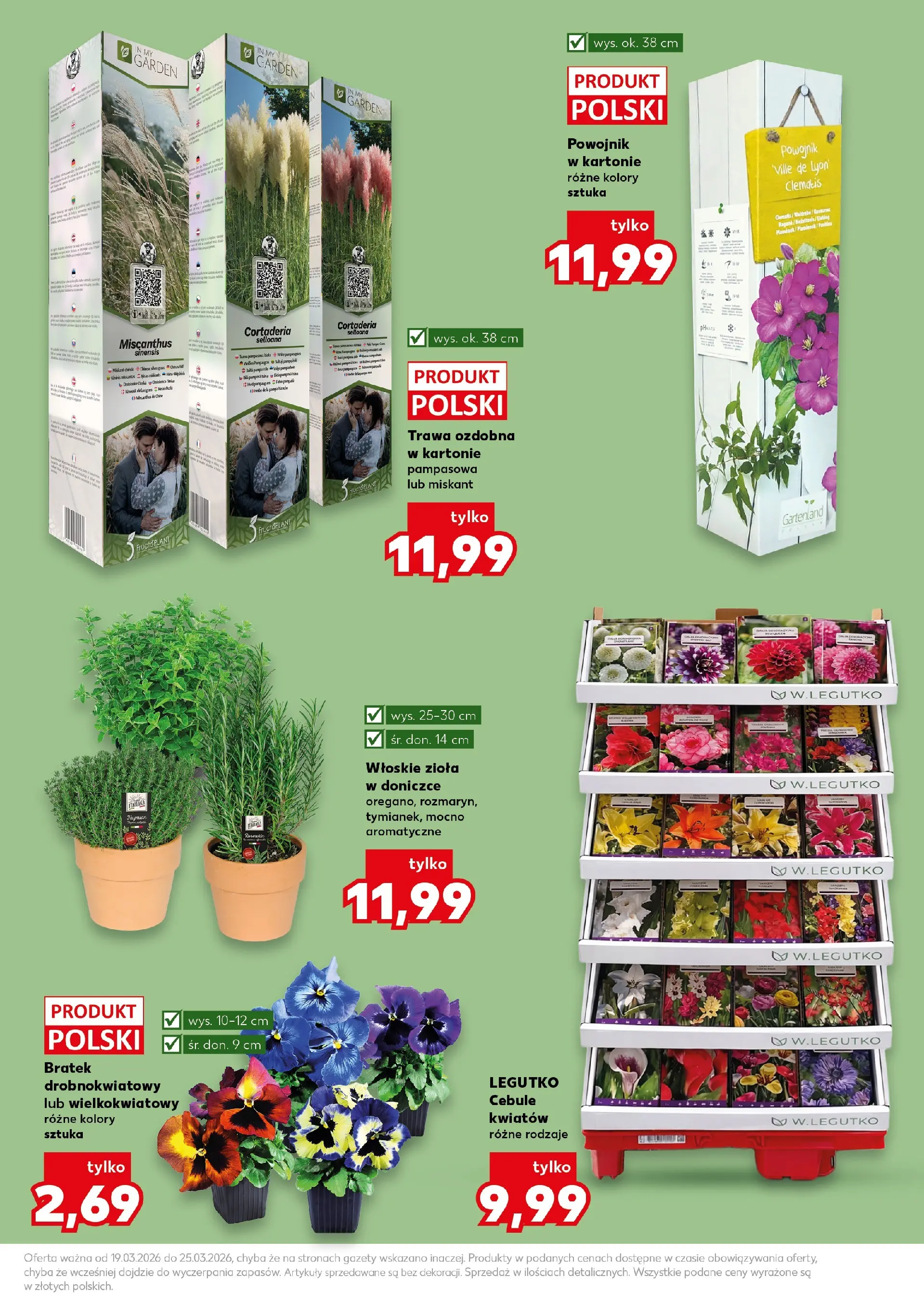 Kaufland gazetka - Ogród od 19.03.2026 - od jutra PDF | Strona: 13 | Produkty: Cebule