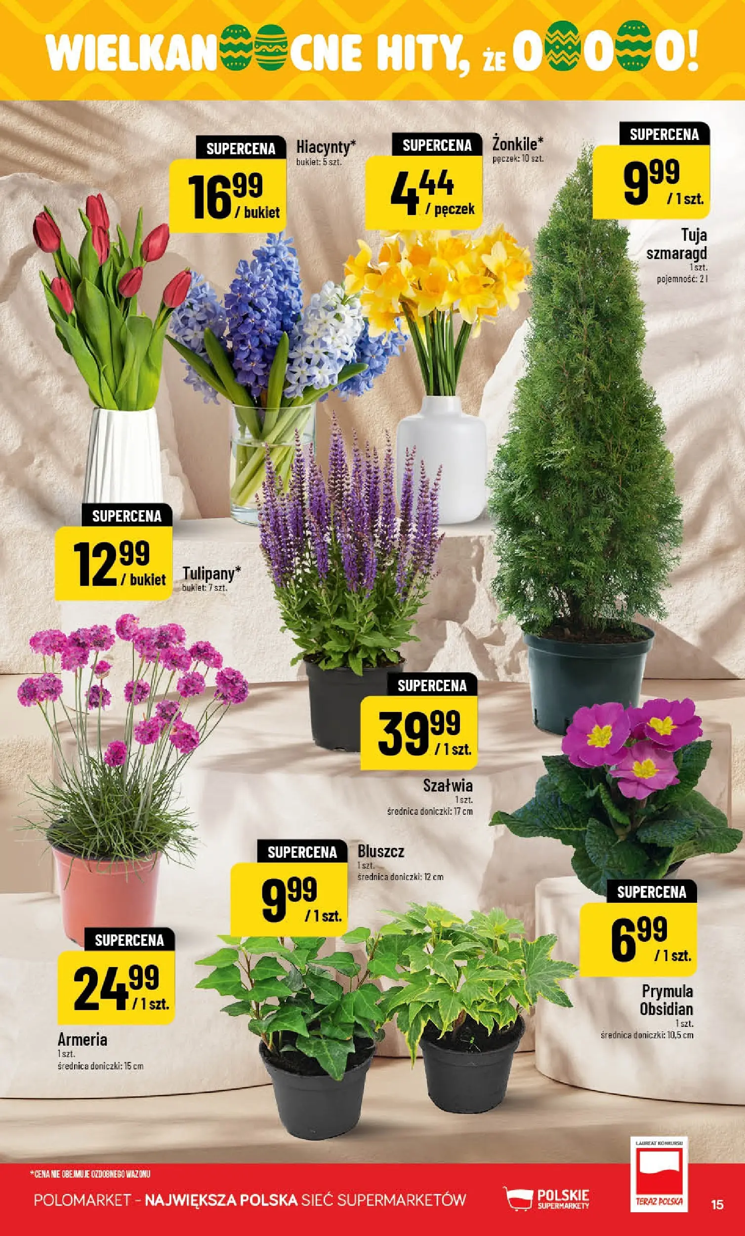 Nowa POLOmarket gazetka od jutra 18.03.2026 | Strona: 15 | Produkty: Doniczki