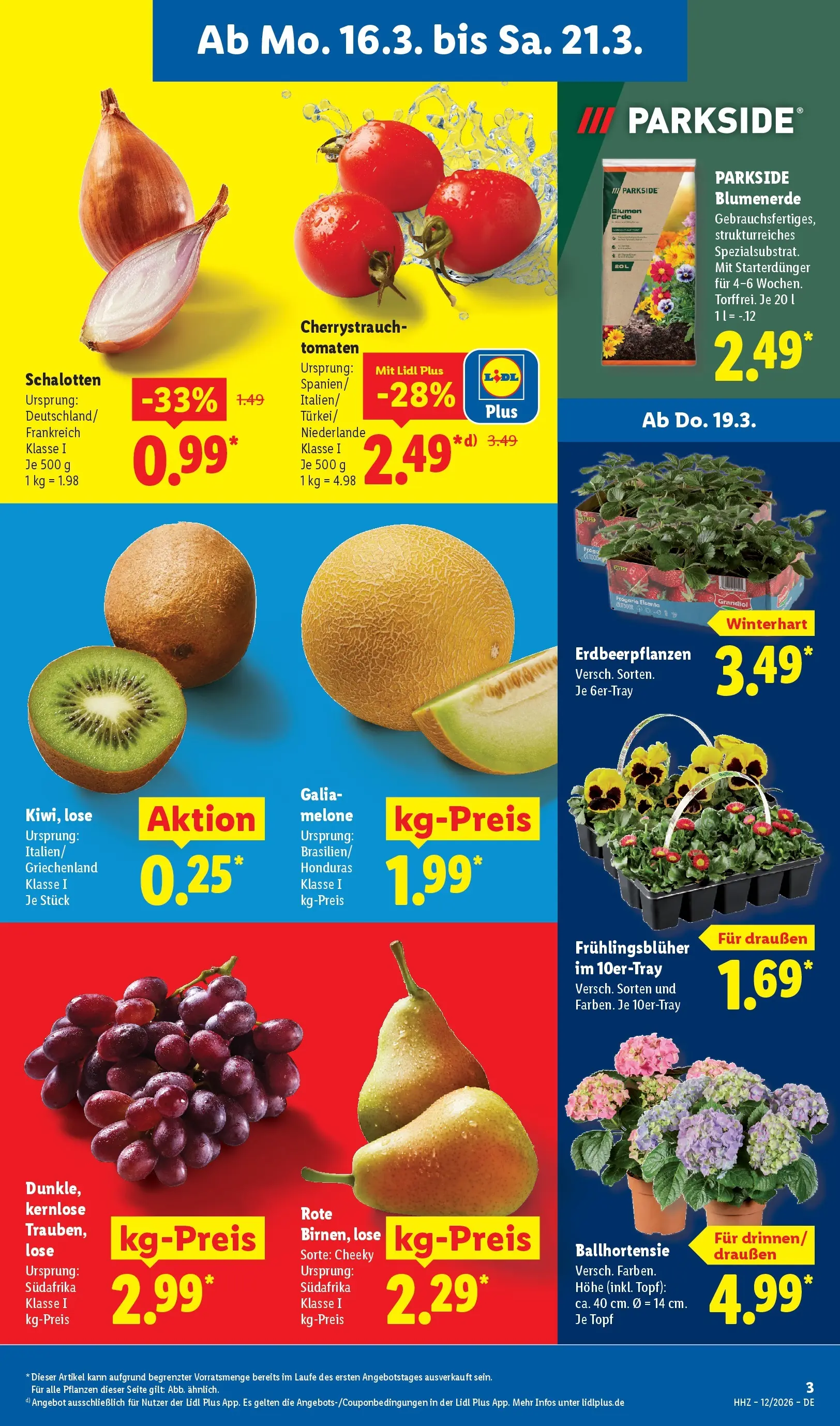 Lidl Prospekt Hof-innenstadt (ab 16.03.2026) zum Blättern » Angebote | Seite: 5 | Produkte: Blumen, Tomaten, Blumenerde, Melone