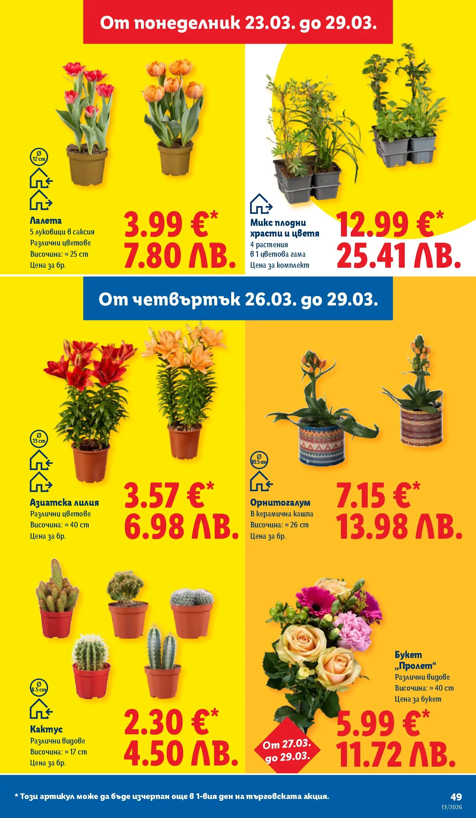 Лидл брошура - Направи празника специале от 23.03.2026 | Страница: 49 | Продукти: Кашпа, Саксия