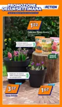 Action Promozione della settimana - al 24.03.2026