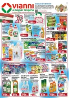 Vianni aj&aacute;nlatunk &eacute;rv&eacute;nyes 2026.03.24