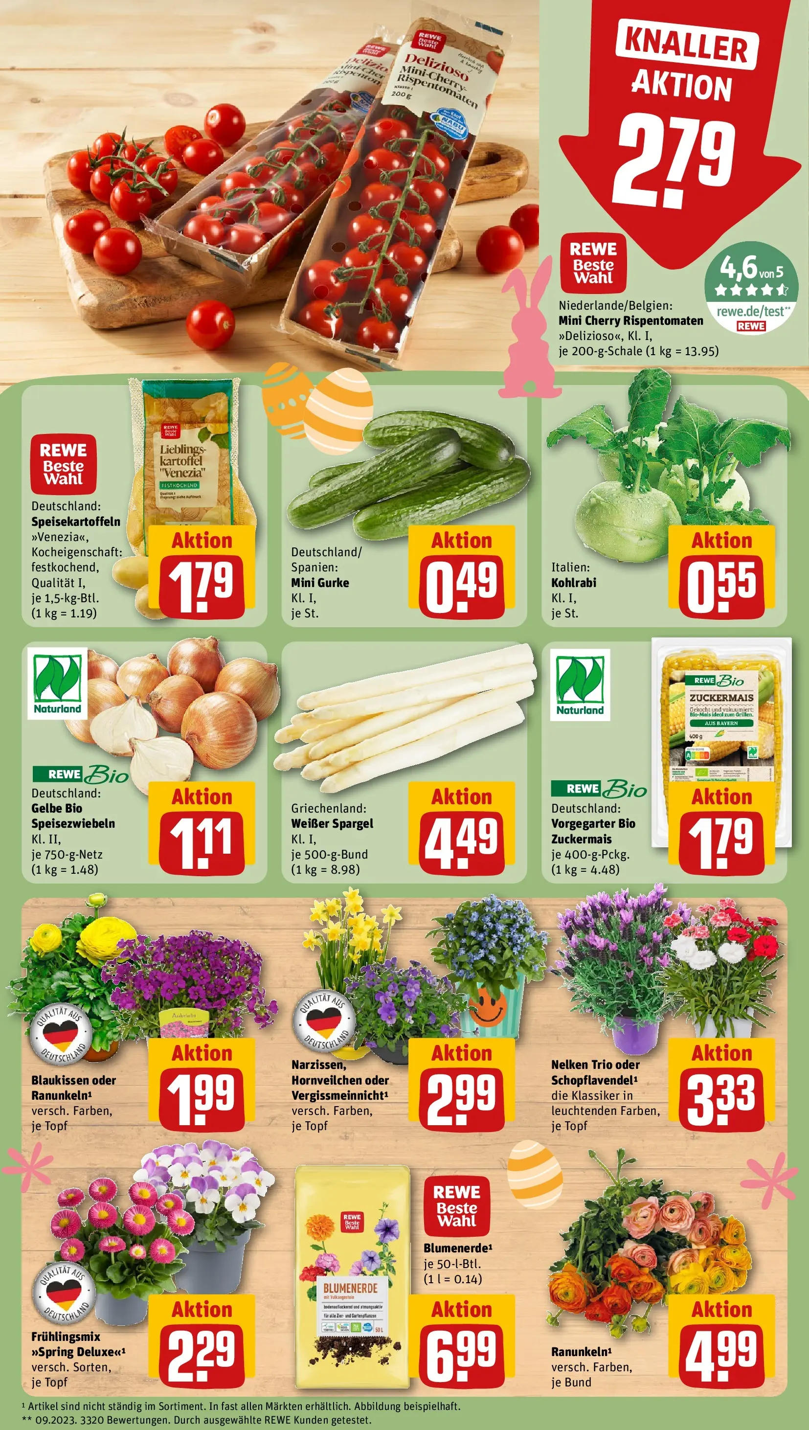 REWE Prospekt ab 22.03.2026 zum Blättern » Angebote | Seite: 9 | Produkte: Kohlrabi, Spargel, Blumenerde