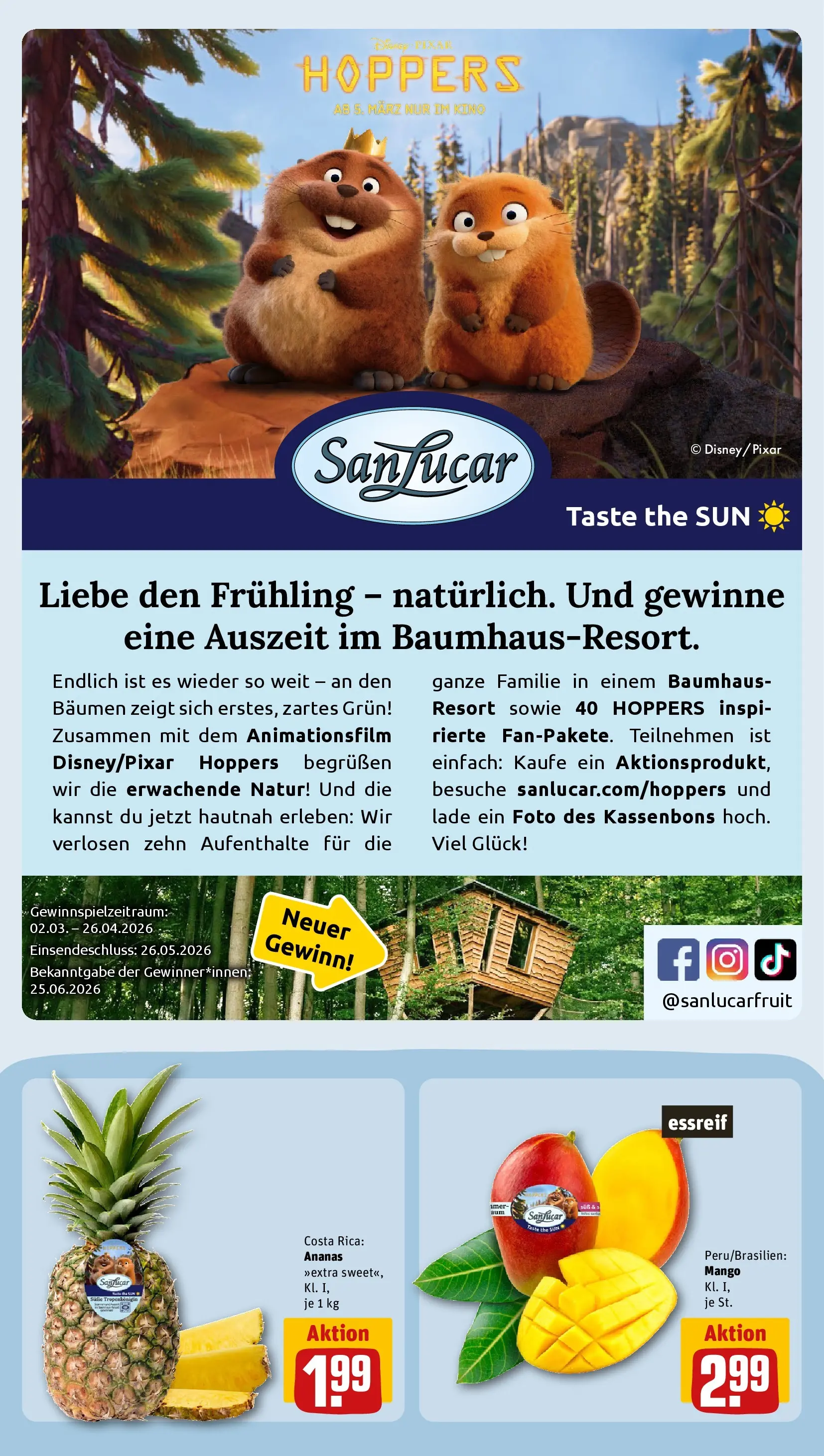 REWE Prospekt ab 22.03.2026 zum Blättern » Angebote | Seite: 11 | Produkte: Ananas, Mango