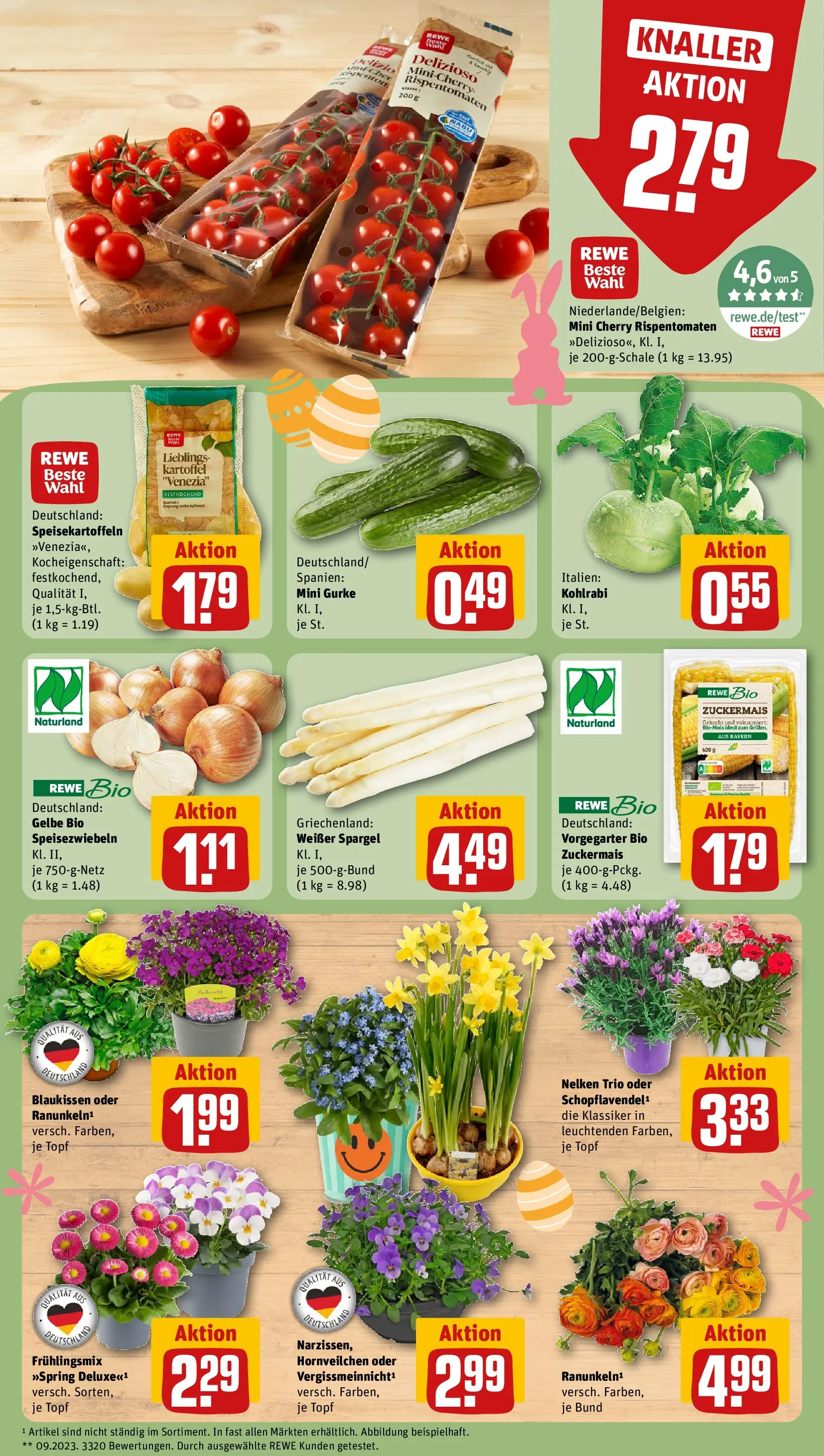 REWE Prospekt ab 23.03.2026 zum Blättern » Angebote | Seite: 9