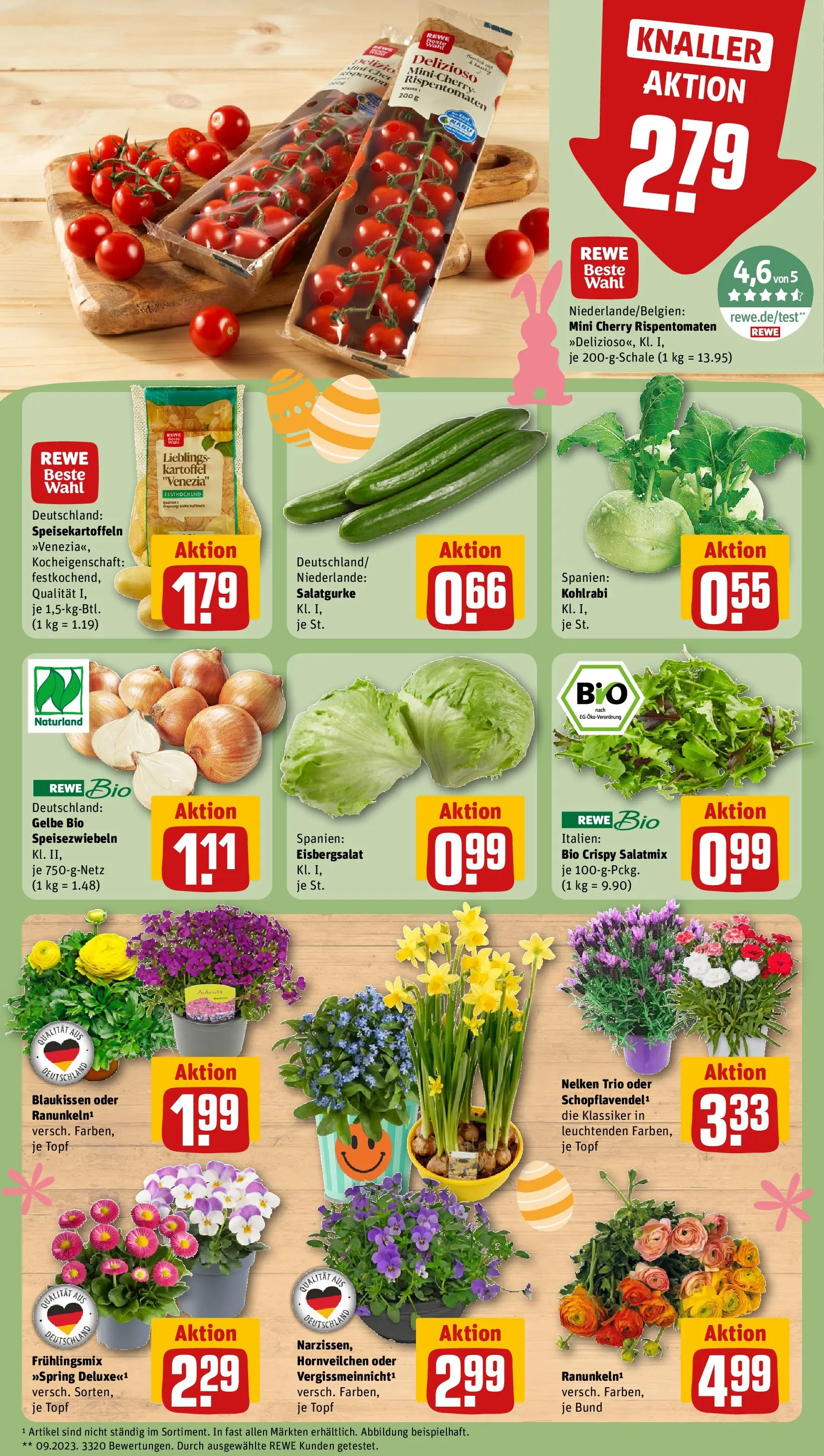 REWE Prospekt ab 23.03.2026 zum Blättern » Angebote | Seite: 9