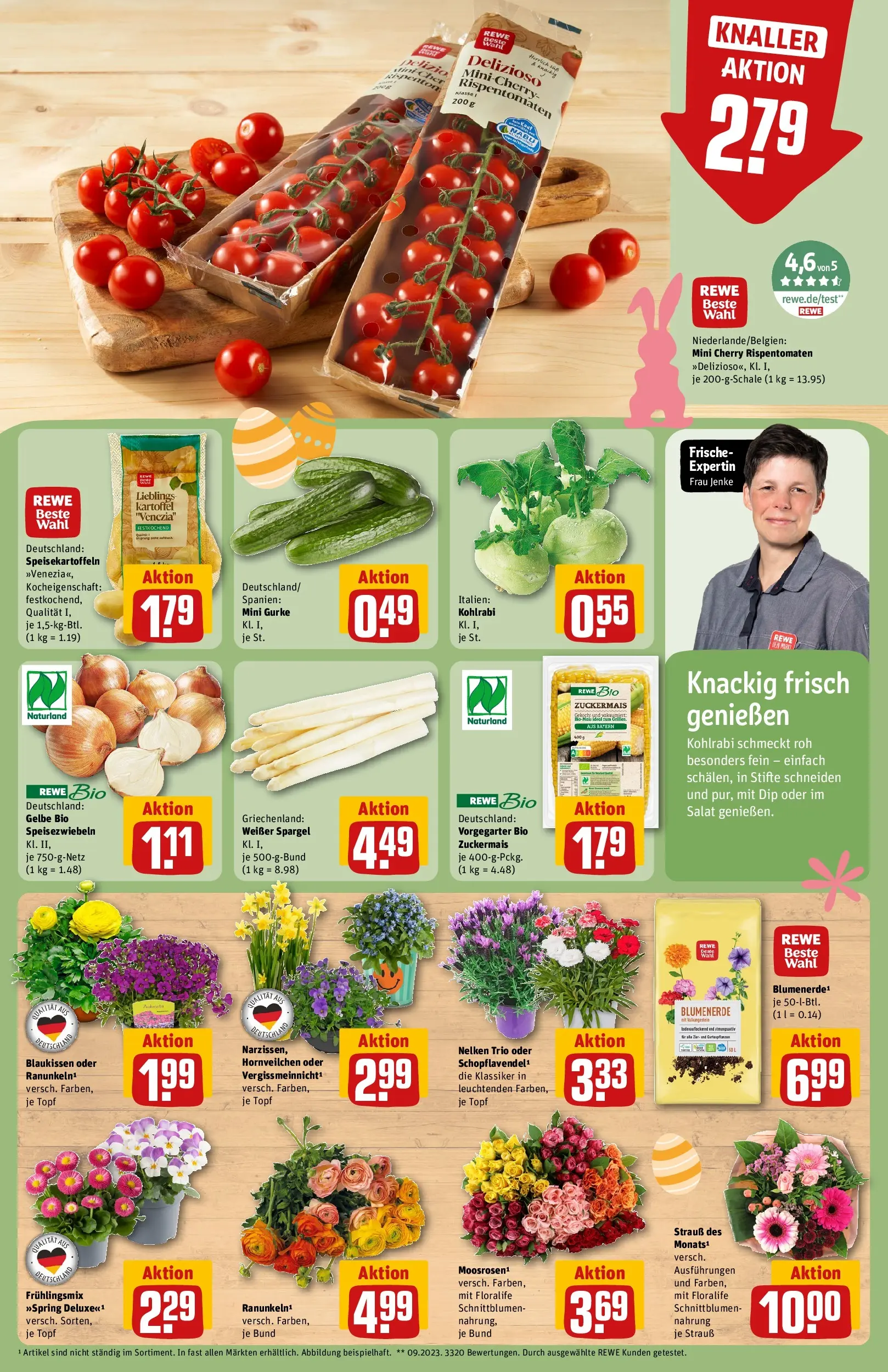 REWE Prospekt ab 23.03.2026 zum Blättern » Angebote | Seite: 9