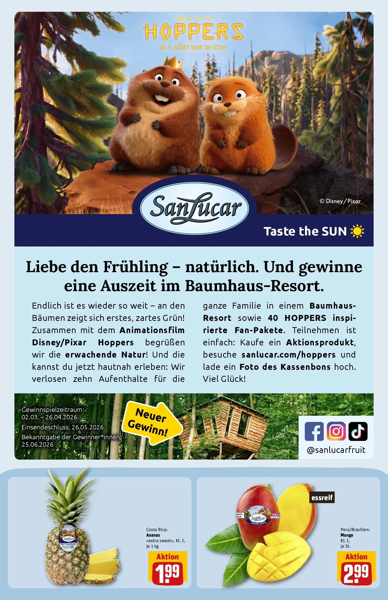 REWE Prospekt ab 23.03.2026 zum Blättern » Angebote | Seite: 11