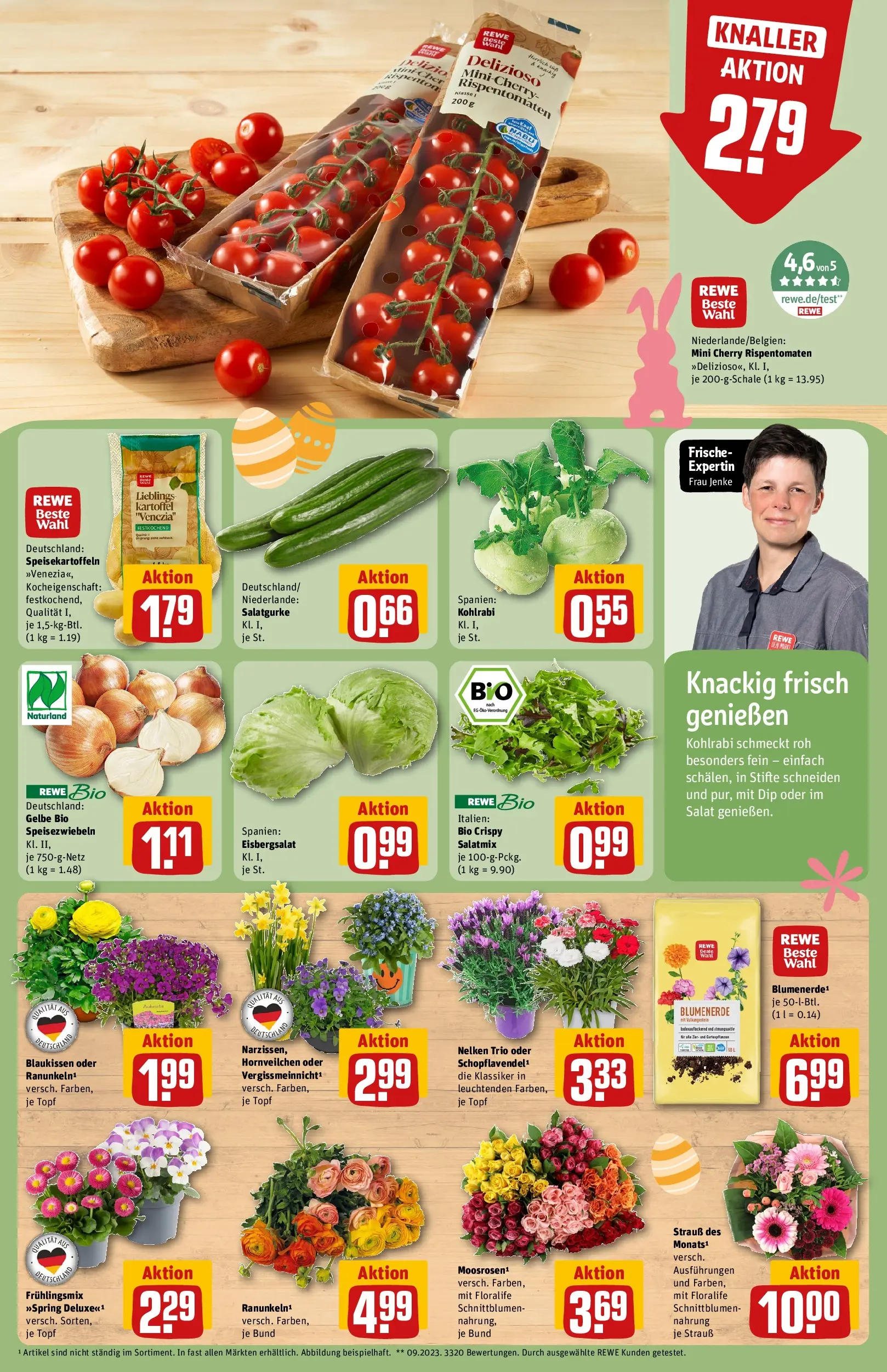 REWE Prospekt ab 23.03.2026 zum Blättern » Angebote | Seite: 9