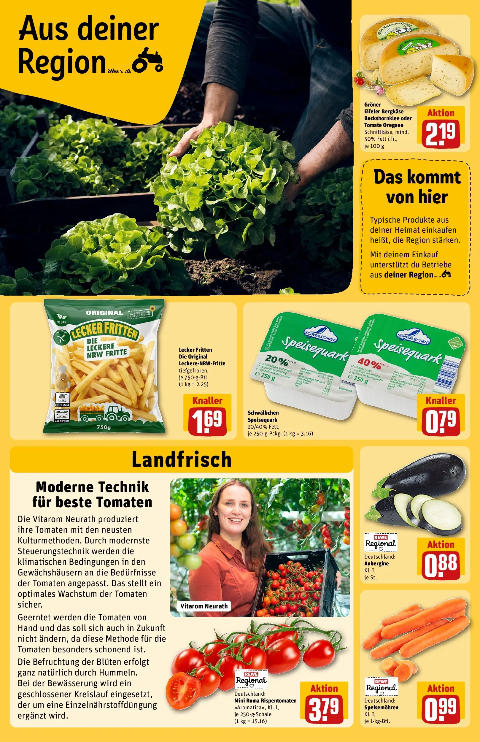 REWE Prospekt ab 23.03.2026 zum Blättern » Angebote | Seite: 26 | Produkte: Tomaten, Aubergine, Fritteuse, Speisequark