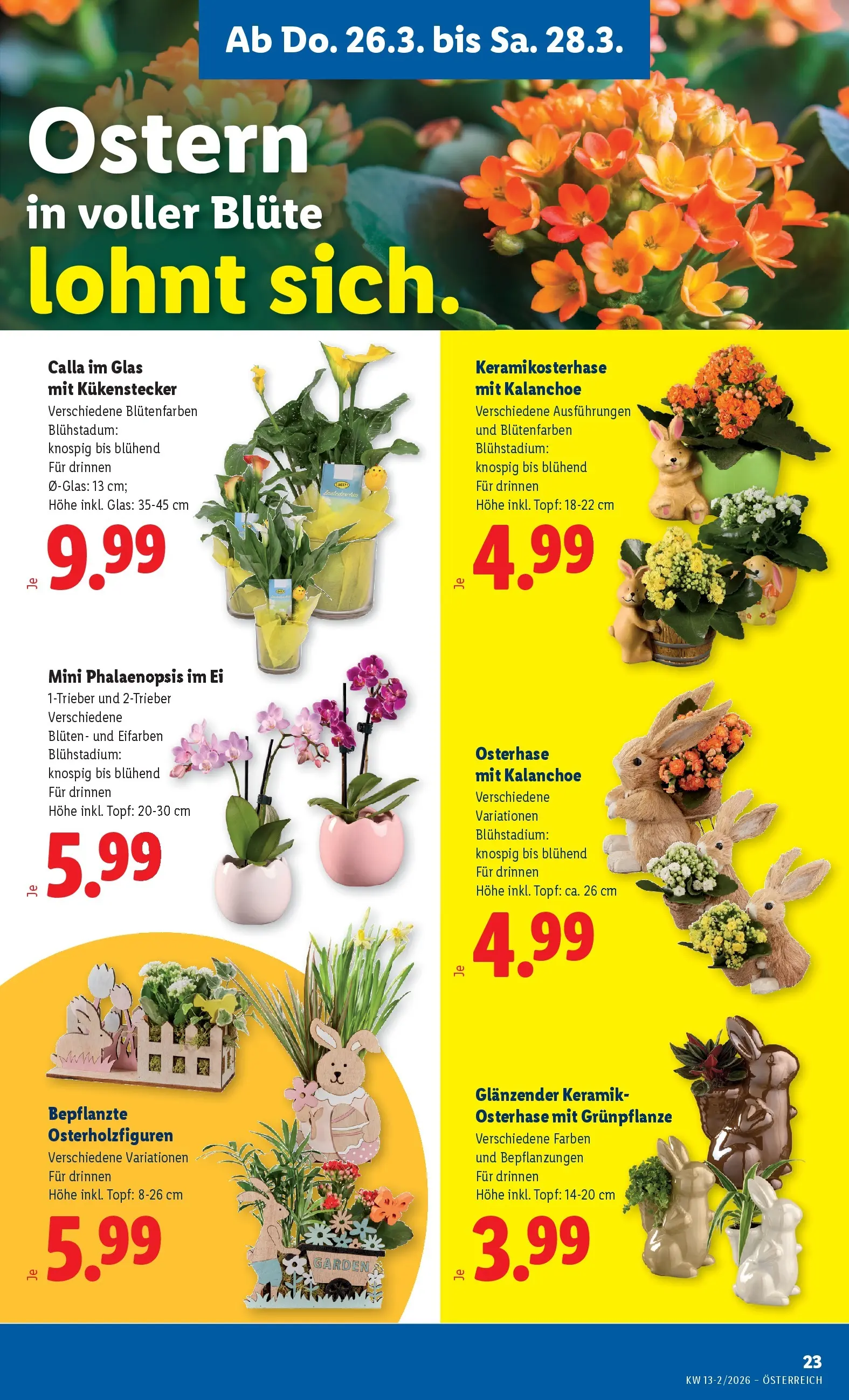 Lidl - Lidl ab 25.03.2026 - Angebote ab donnerstag | Seite: 25