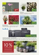 Pflanzen-K&ouml;lle: Startklar f&uuml;r die Gartensaison