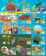 E center: Wochenangebote