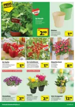 5 T&auml;ler Bauhandels GmbH hagebaumarkt: Flugblatt - bis 04.04.2026