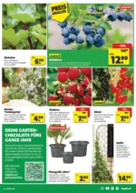 5 T&auml;ler Bauhandels GmbH hagebaumarkt: Flugblatt - bis 04.04.2026