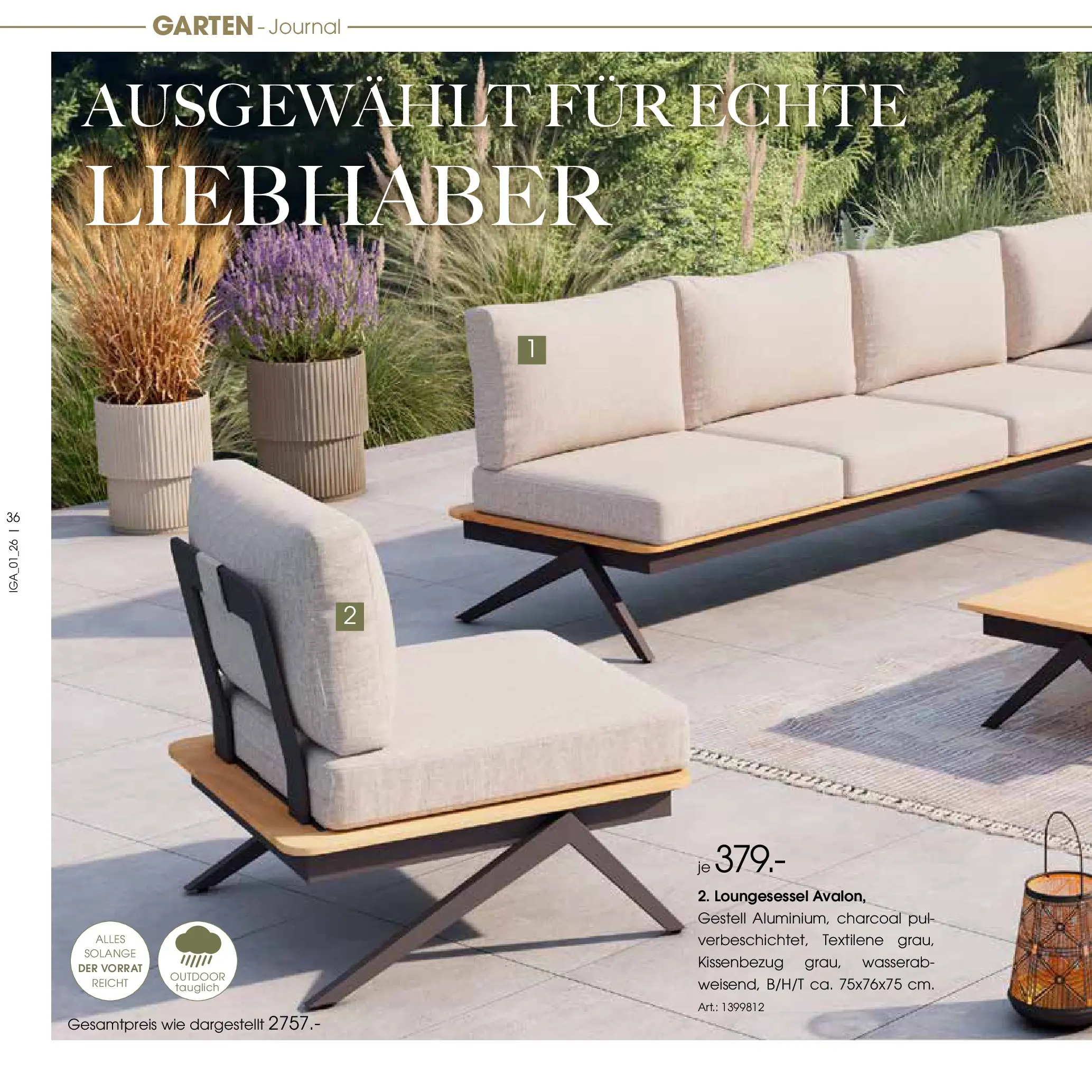 Zurbrüggen Garten Unna (ab 19.03.2025) zum Blättern | Seite: 36