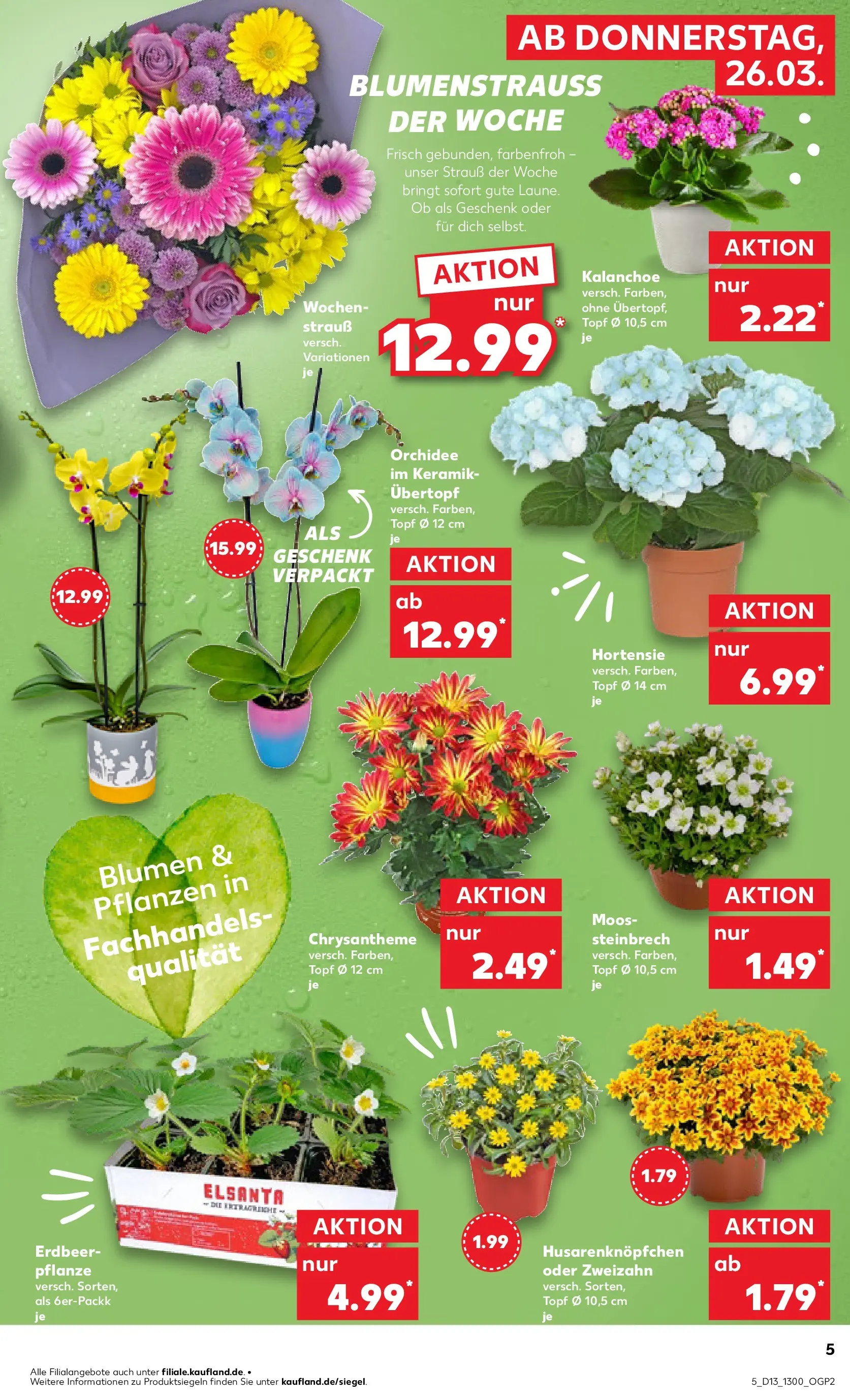 Prospekt Kaufland ab 25.03.2026 » Angebote und Werbung Online | Seite: 5 | Produkte: Hortensie, Orchidee, Blumen Prospekt Kaufland ab 25.03.2026 » Angebote Online zum Blättern | Seite: 5 | Produkte: Hortensie, Orchidee, Blumen