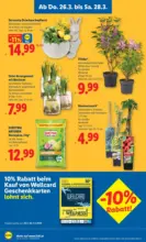 Lidl Lidl - bis 01.04.2026