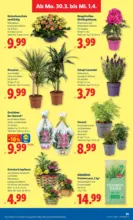 Lidl Lidl - bis 01.04.2026